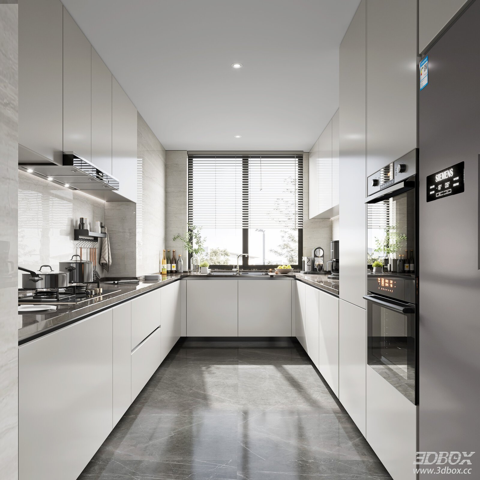 Modern Kitchen