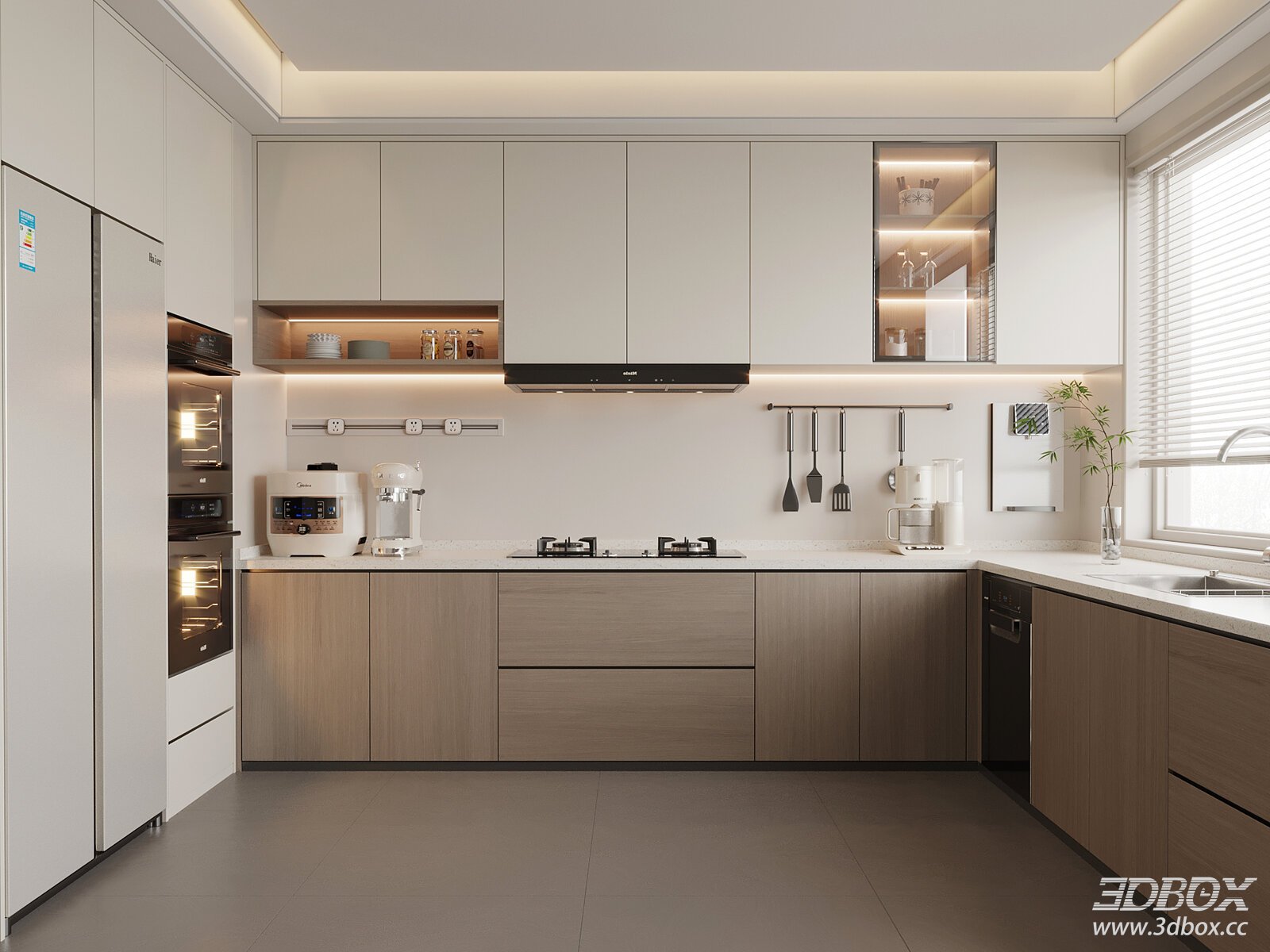 Modern Minimalist Kitchen