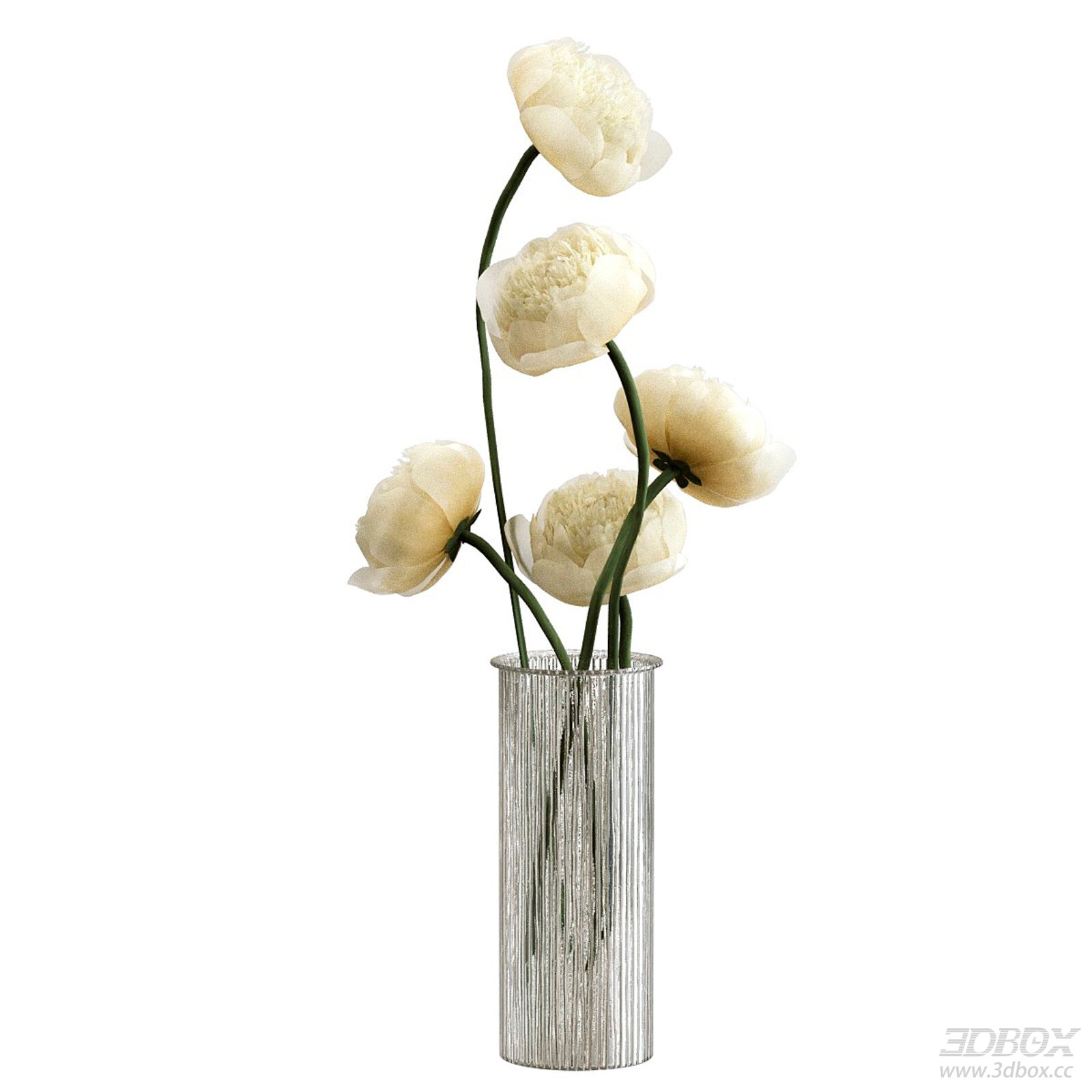Vase & Flowers