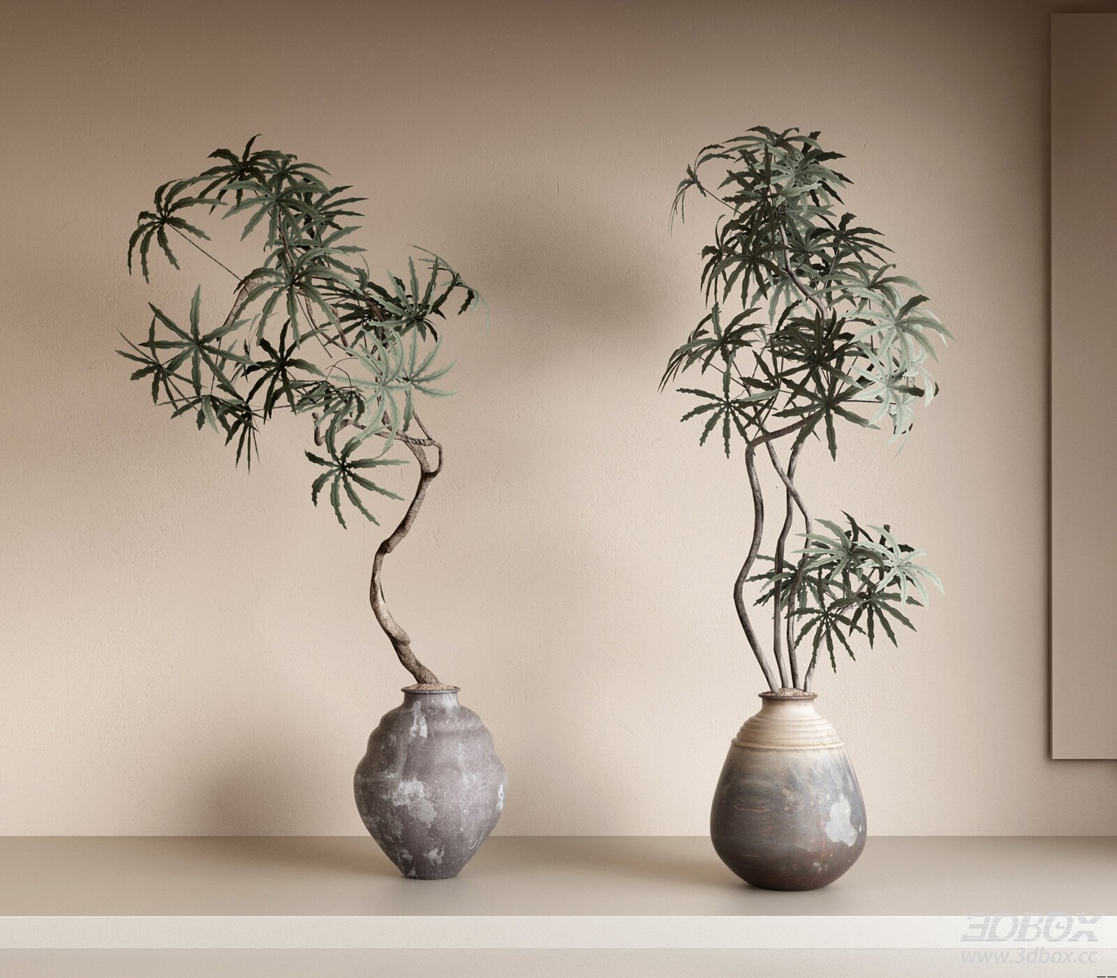 Green Potted Plant
