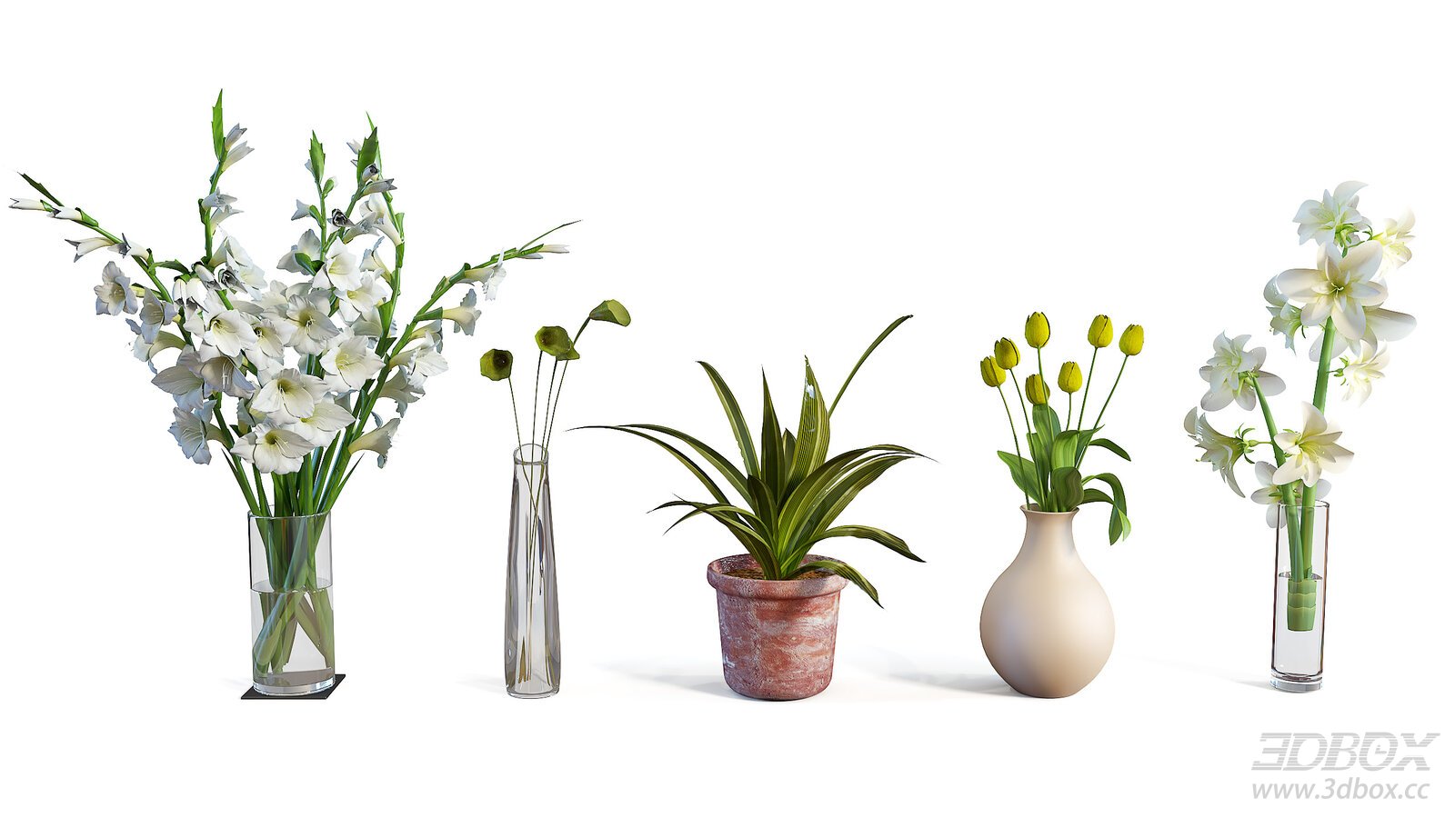 Glass Vase Potted Plant Flower Arrangement 3D Model Download