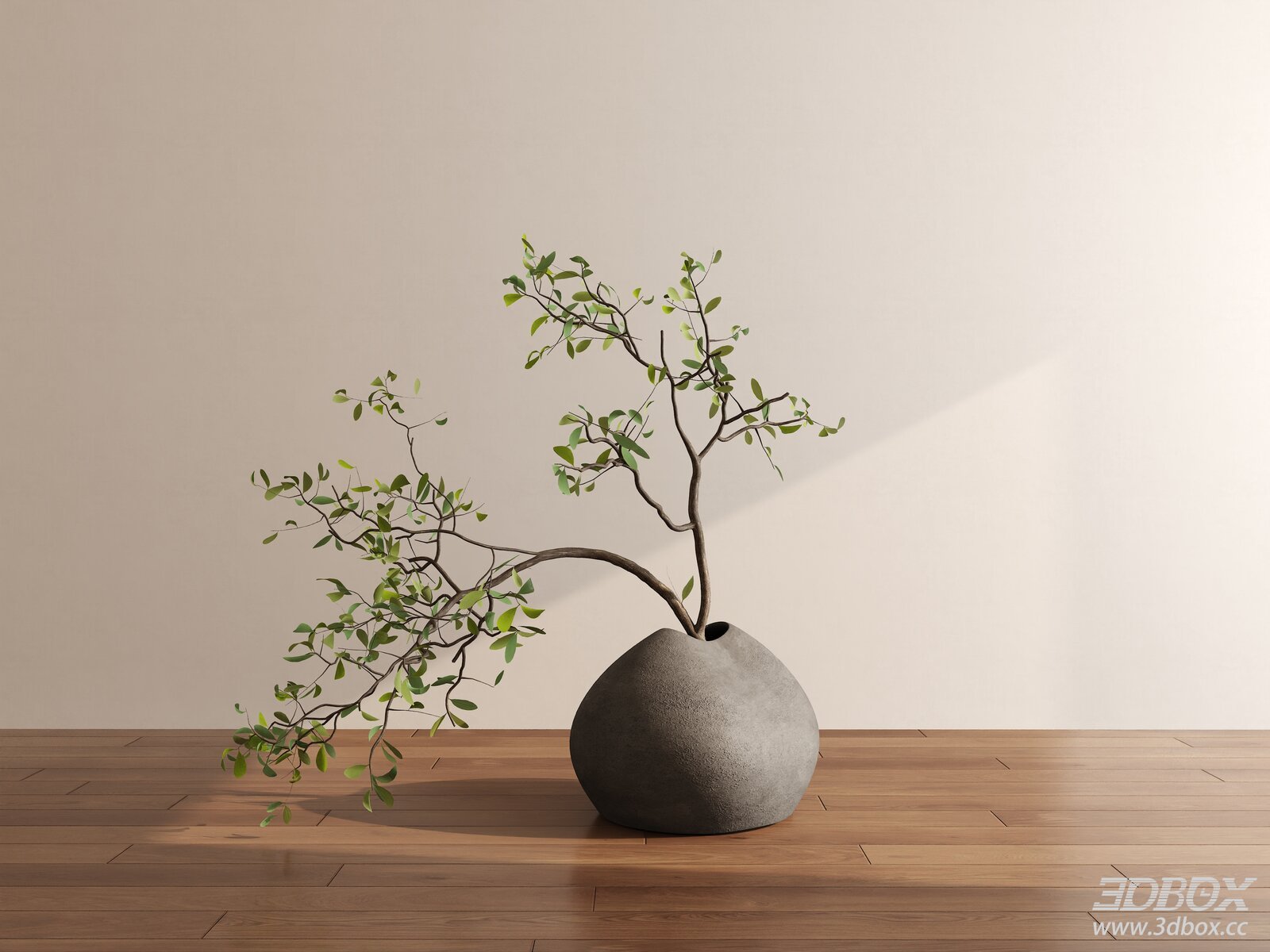 Modern Decor