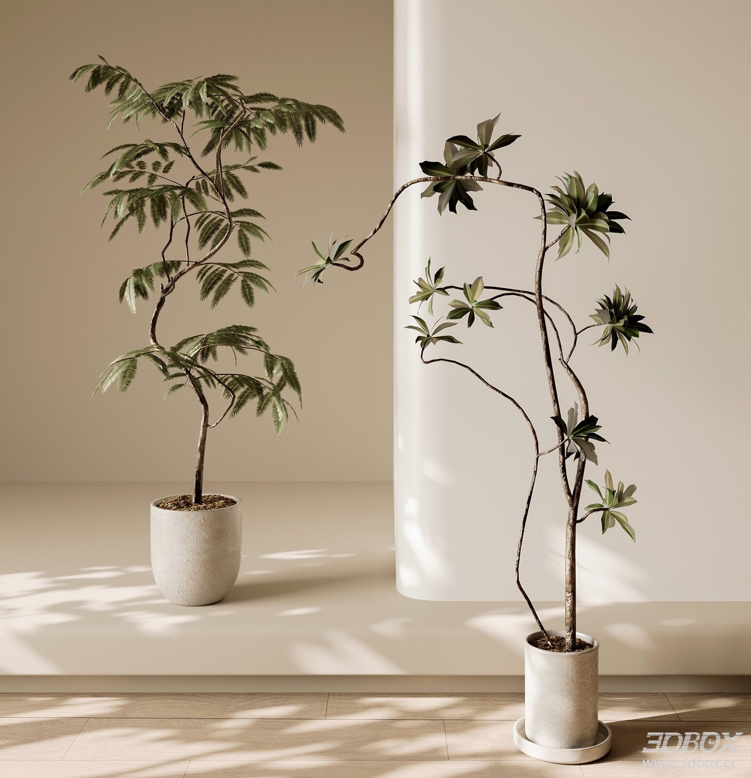 Vintage Green Plant Potted Plant