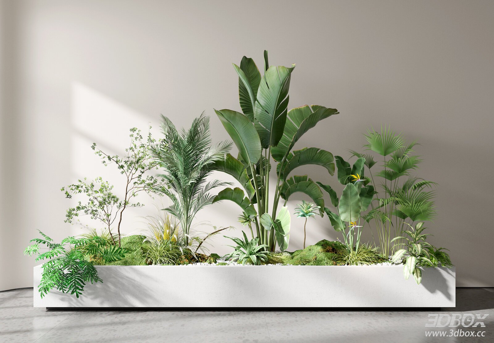 Indoor Plant Arrangement 3D Model