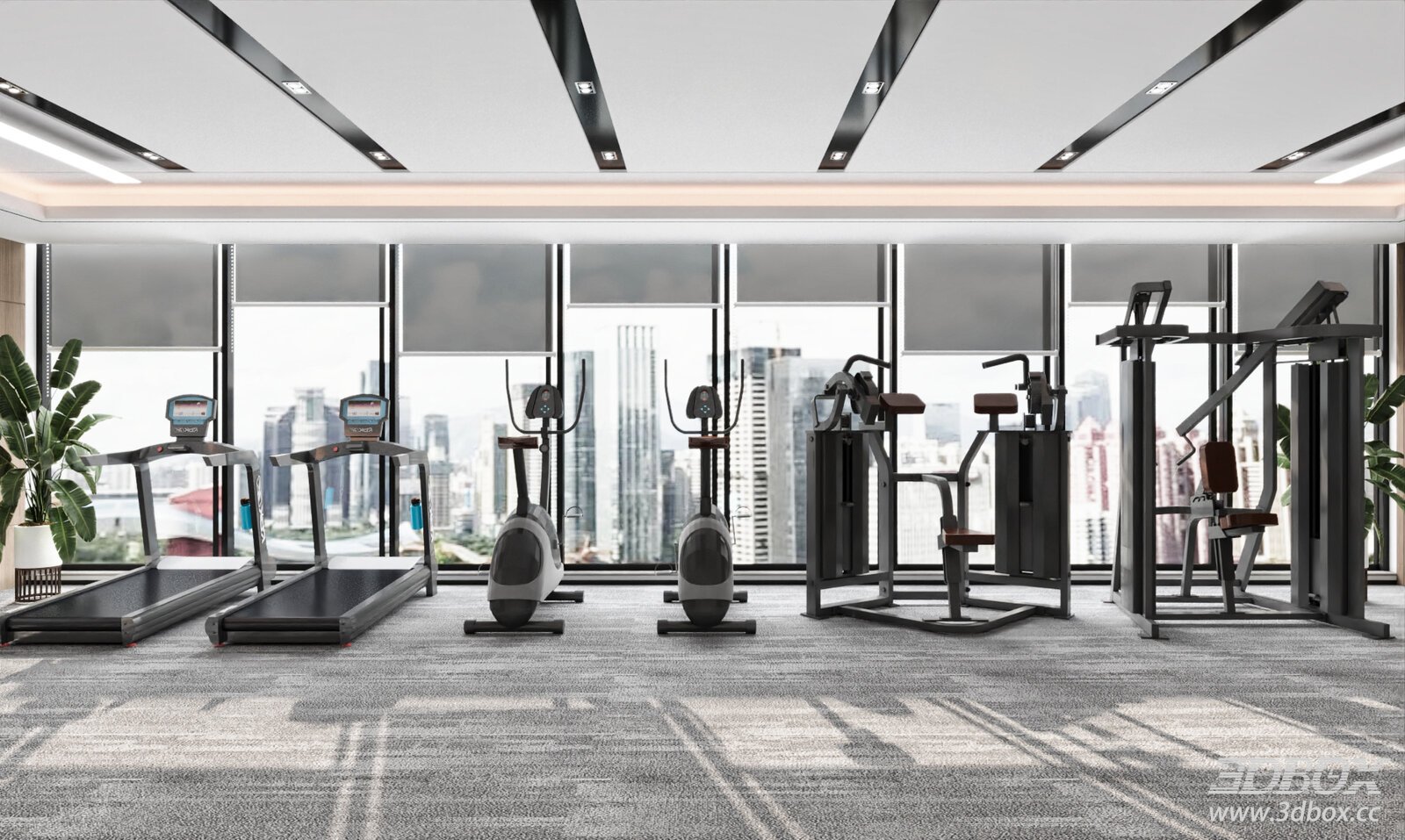 Modern Gym Interior 3D Model