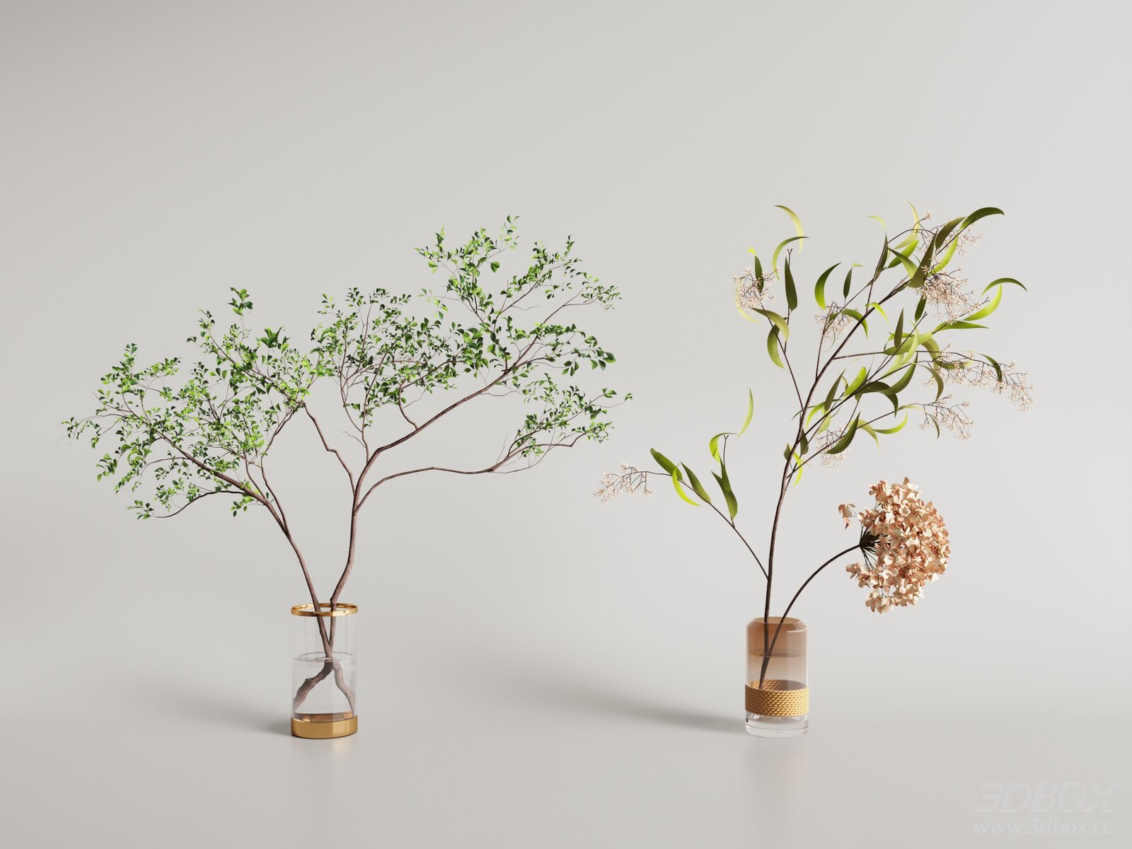 Modern Vase with Plants
