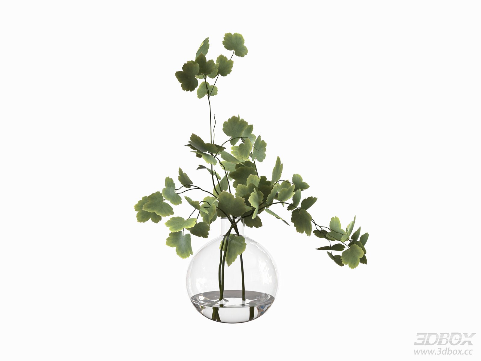 Modern Glass Vase with Plant