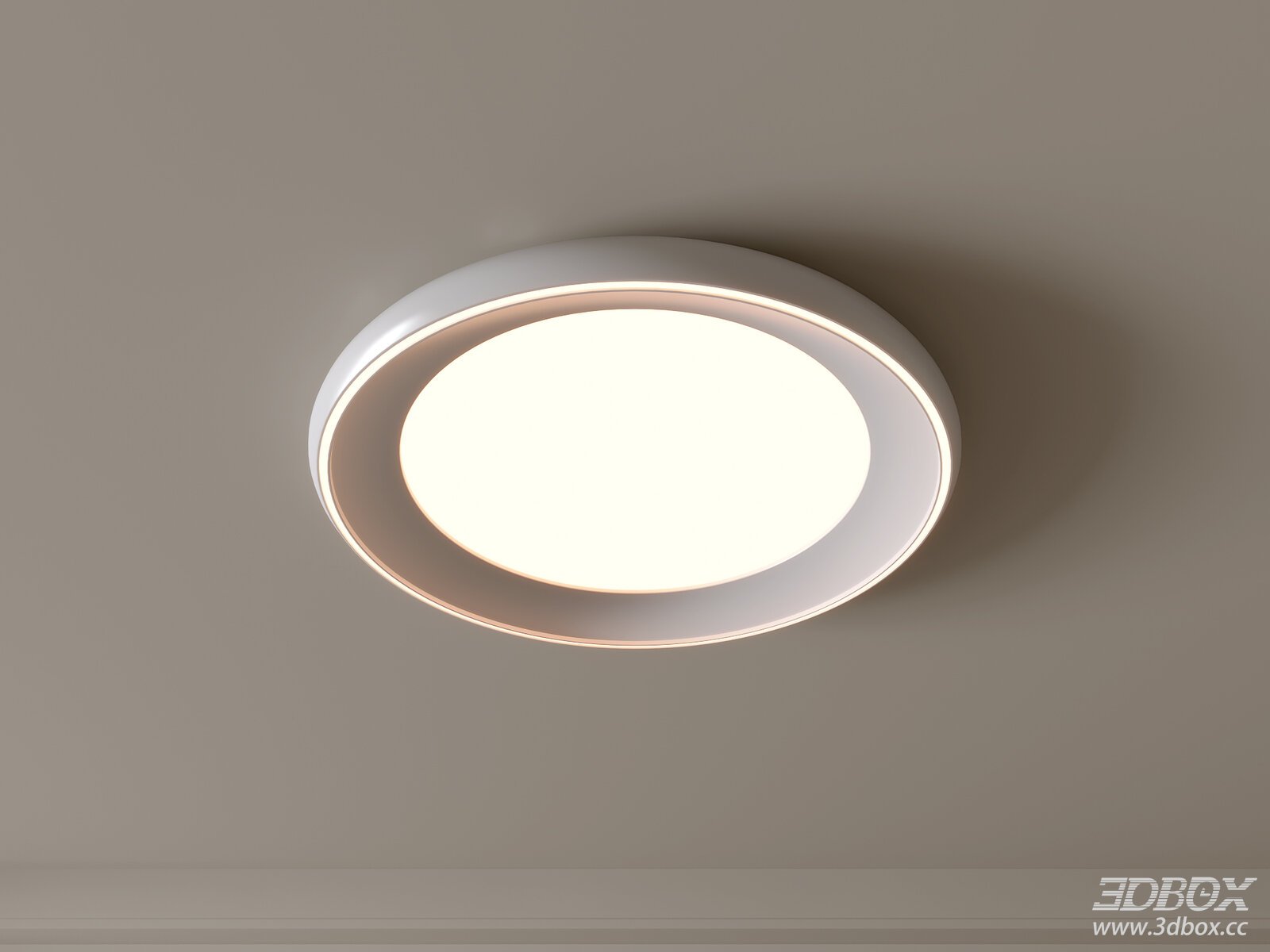 Modern Ceiling Lamp Model