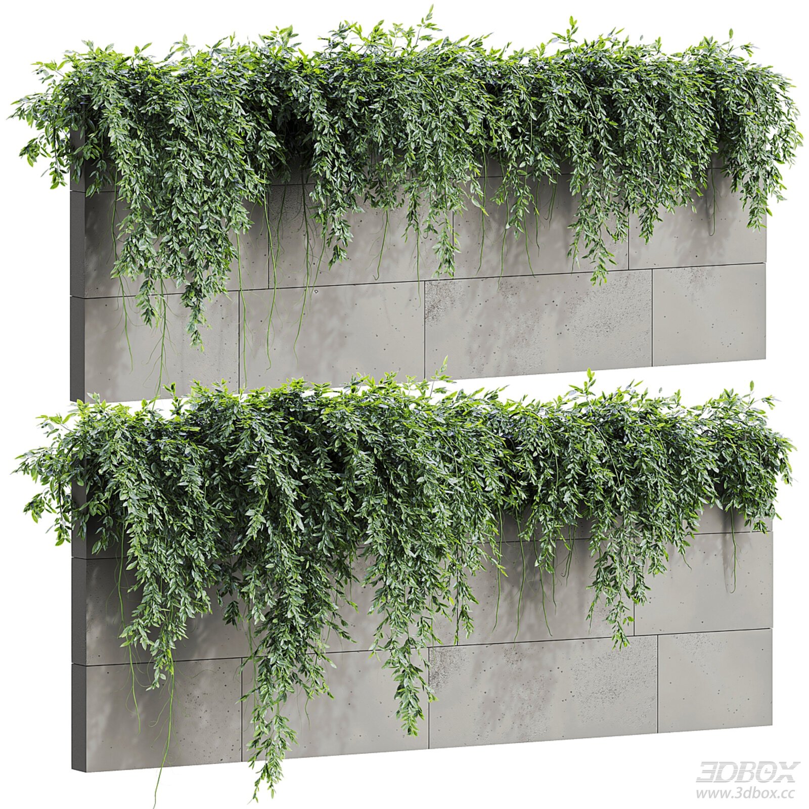 Modern Fitowall with Concrete Wall