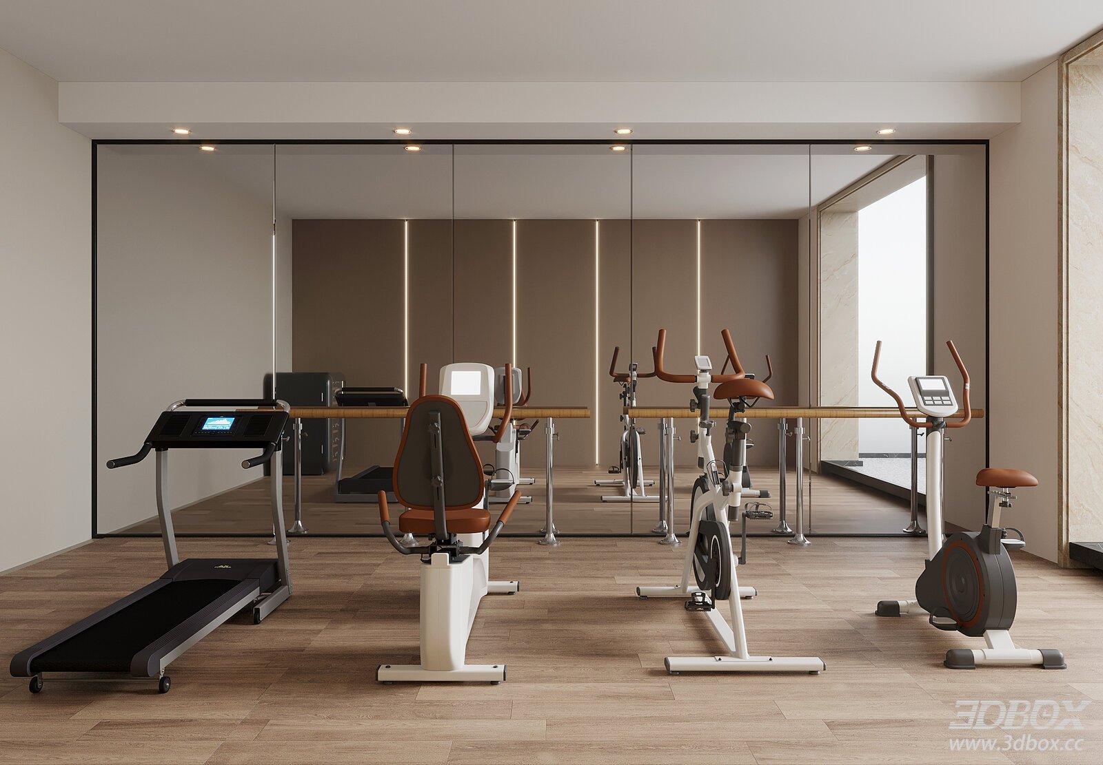 Modern Gym Equipment Setup