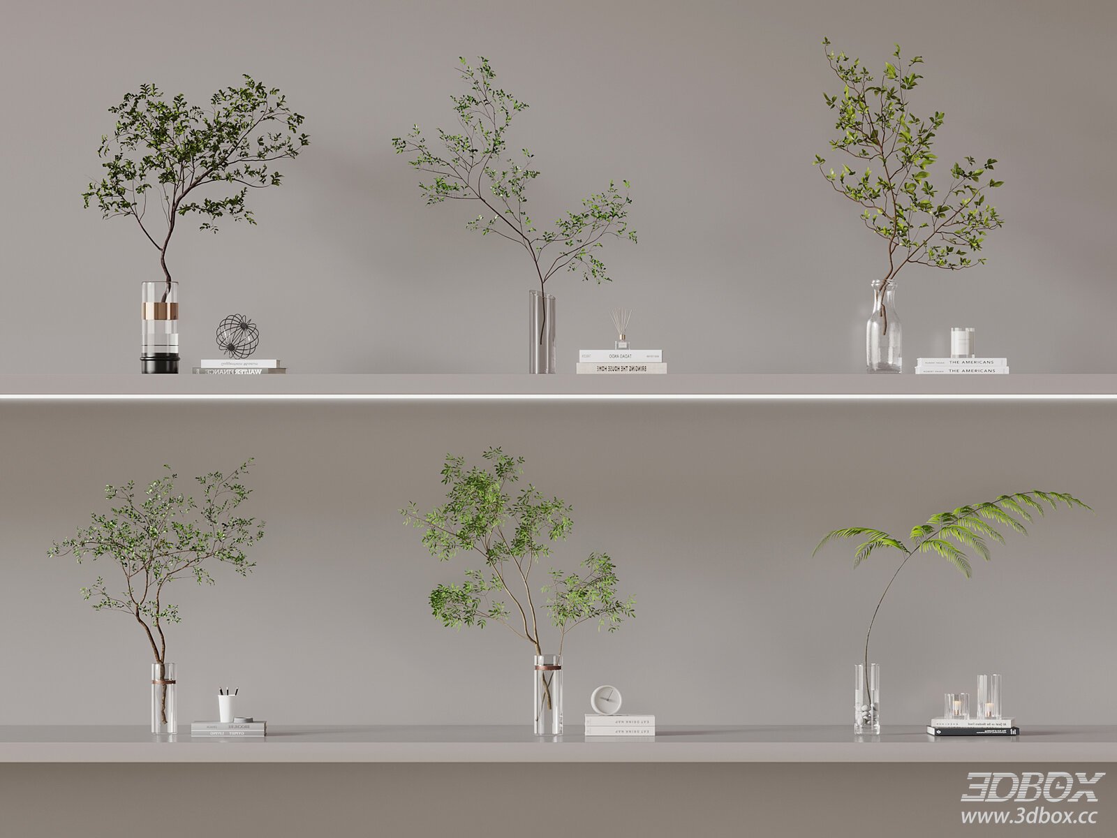 Modern Indoor Plant and Vase Decor on Shelves