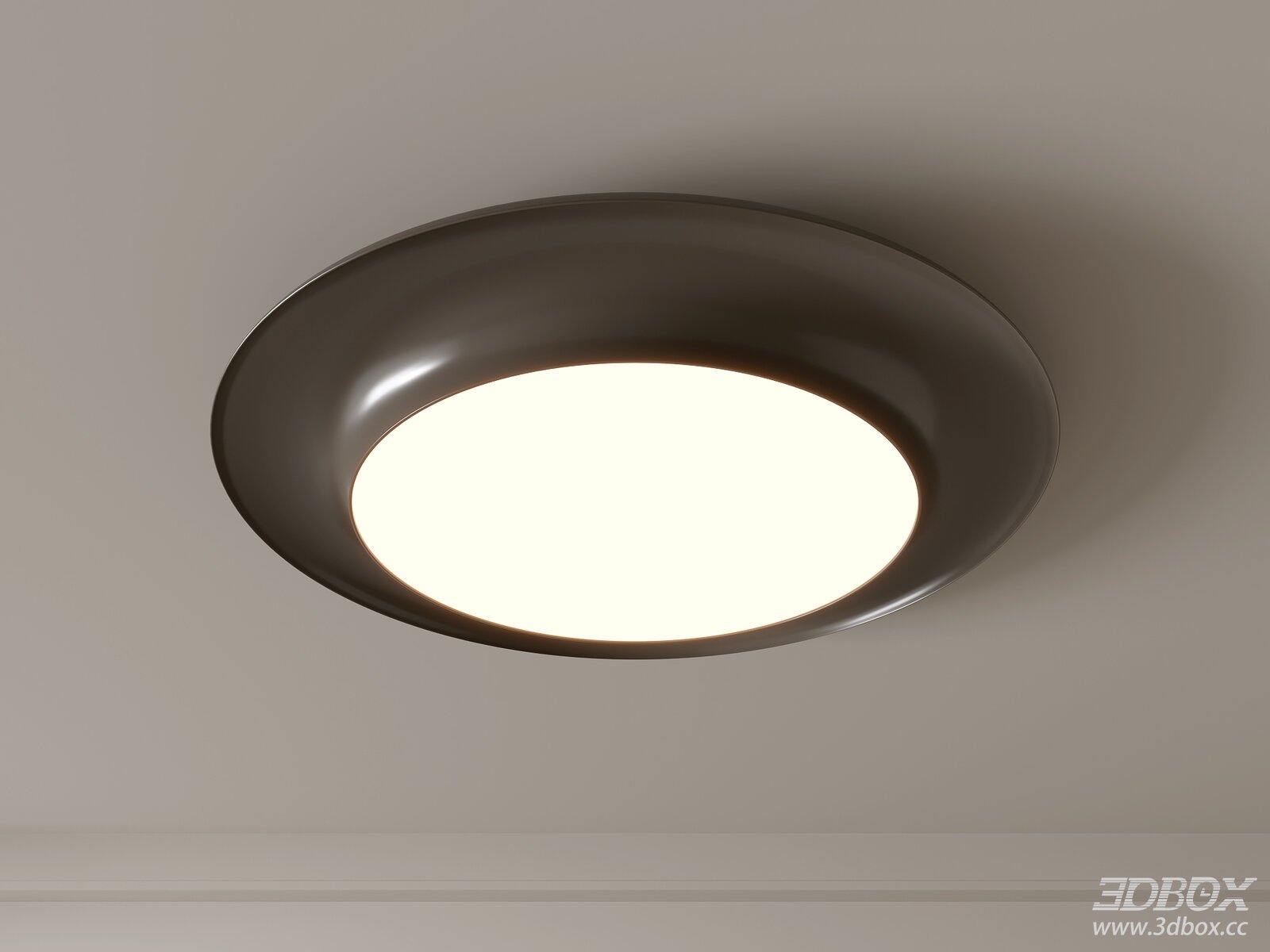 Modern Metal Ceiling Lamp