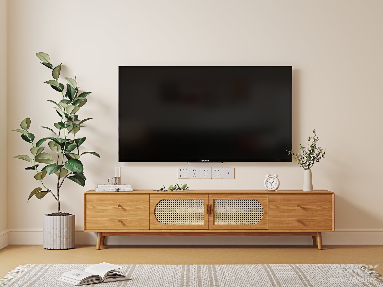 Modern Wooden TV Cabinet in Living Room with Plants