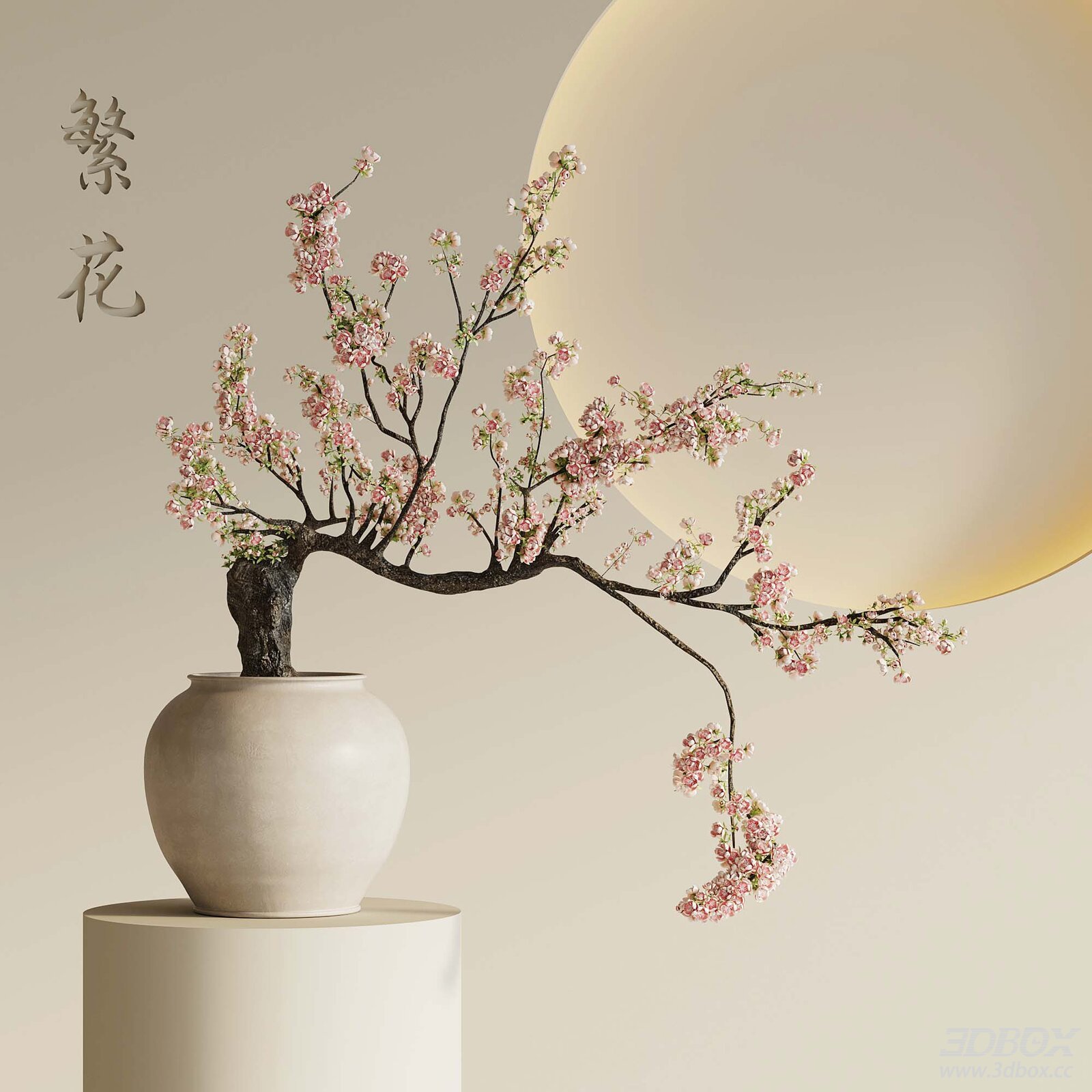 Modern Vase with Blossoming Plant