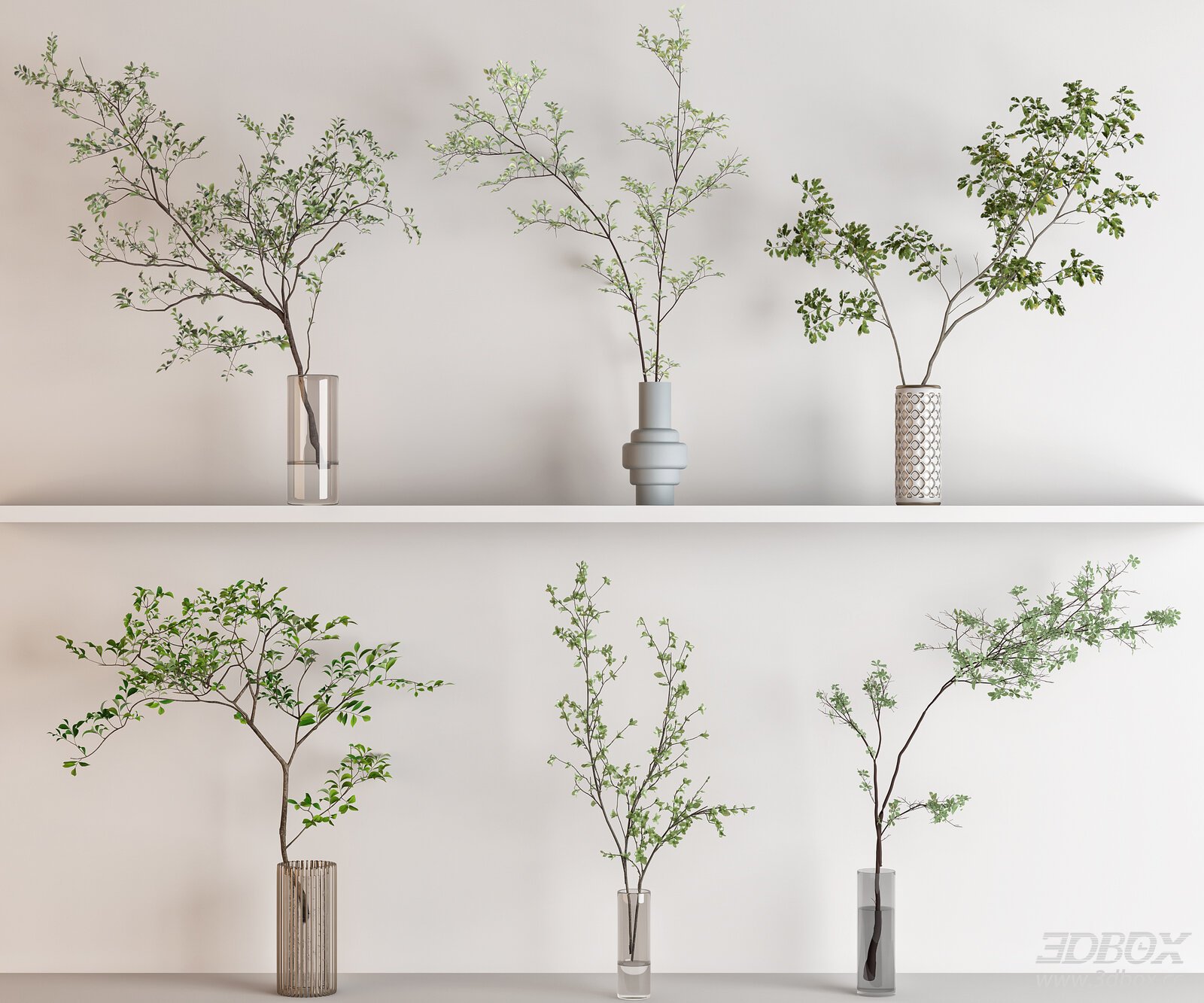Modern Vases with Plants