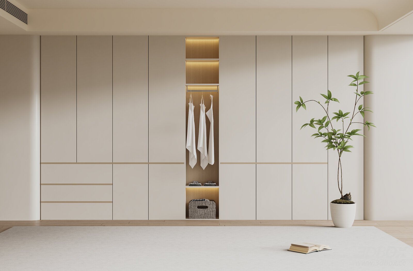 Modern Bedroom Wardrobe with Plant