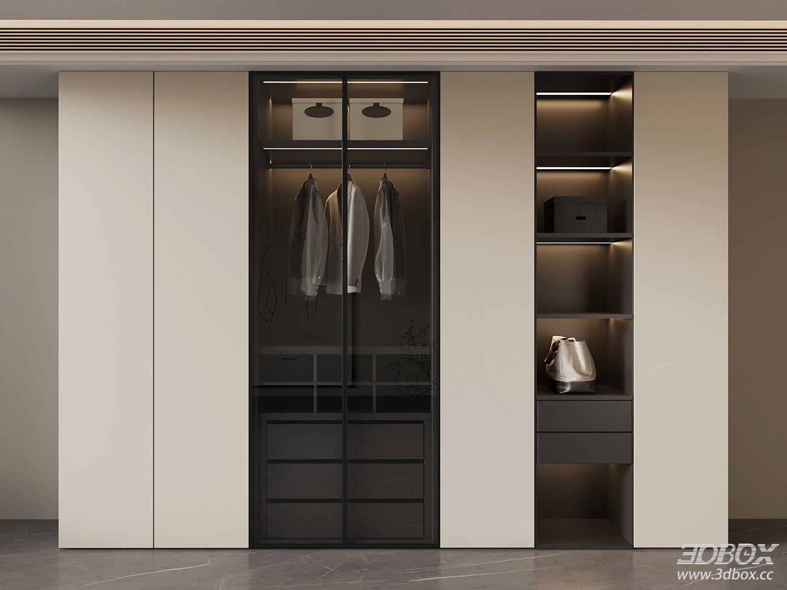 Modern Wardrobe with Glass and Metal Elements