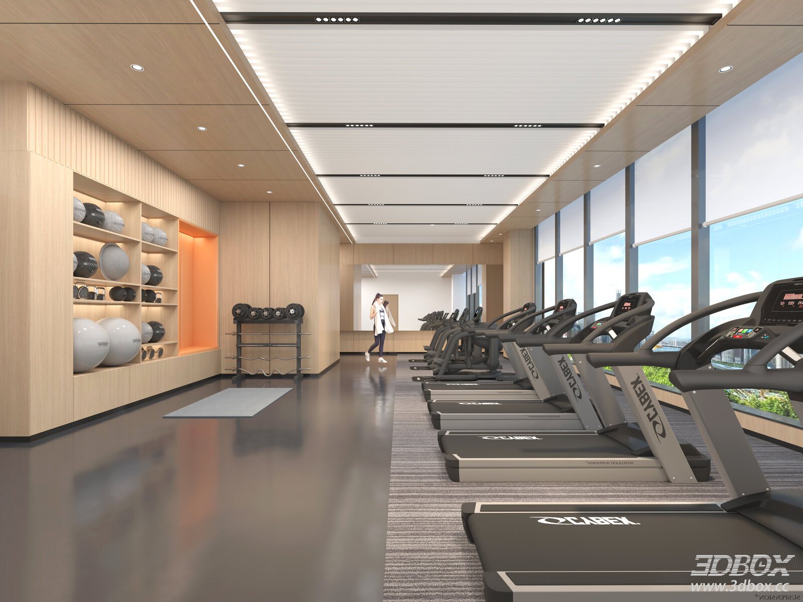 Modern Gym Interior