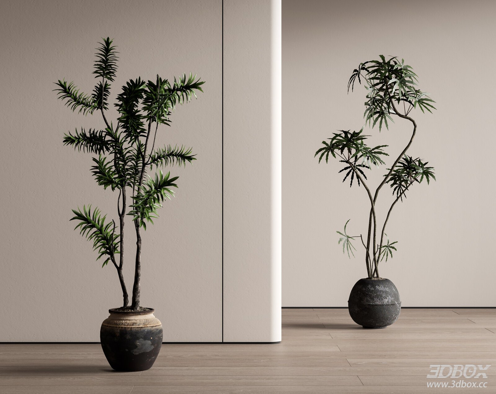 Modern Vintage Potted Plants