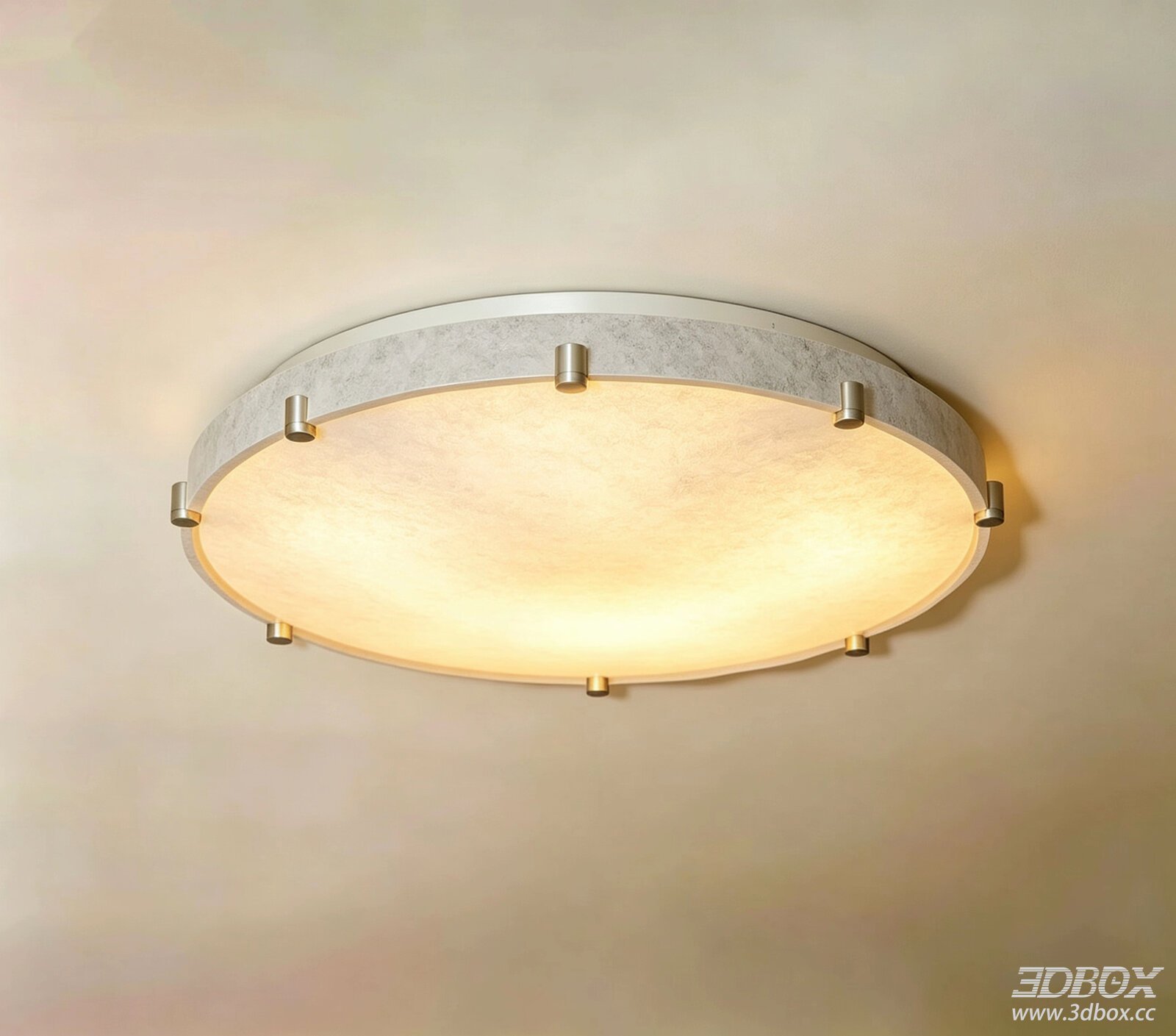 Modern Decorative Ceiling Light
