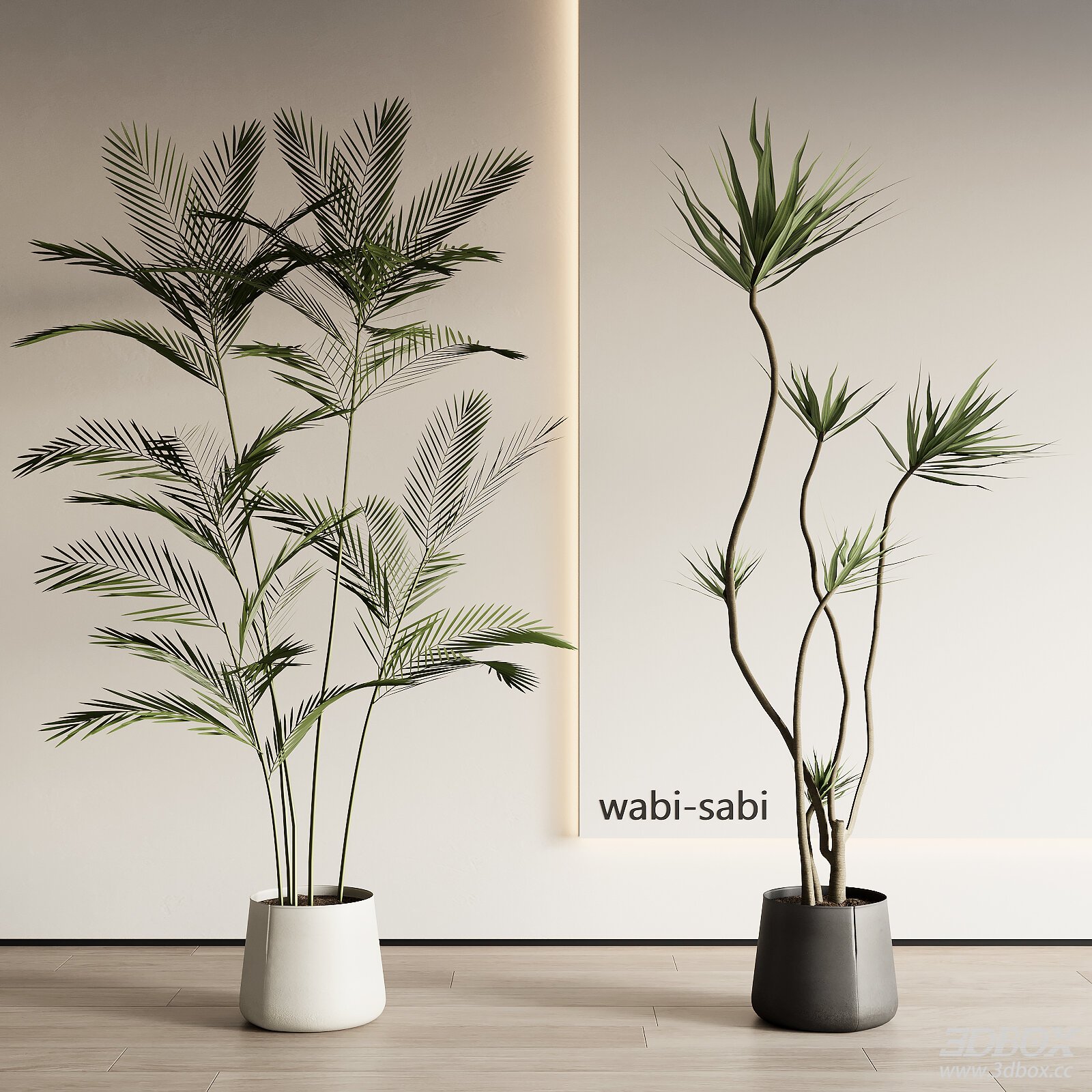 Indoor Potted Plants