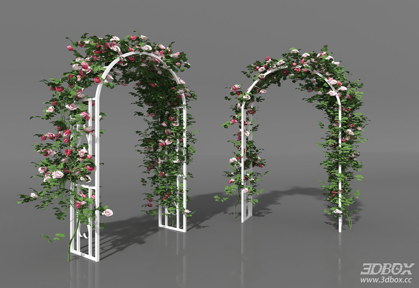Flower - Basket and Vine Arch