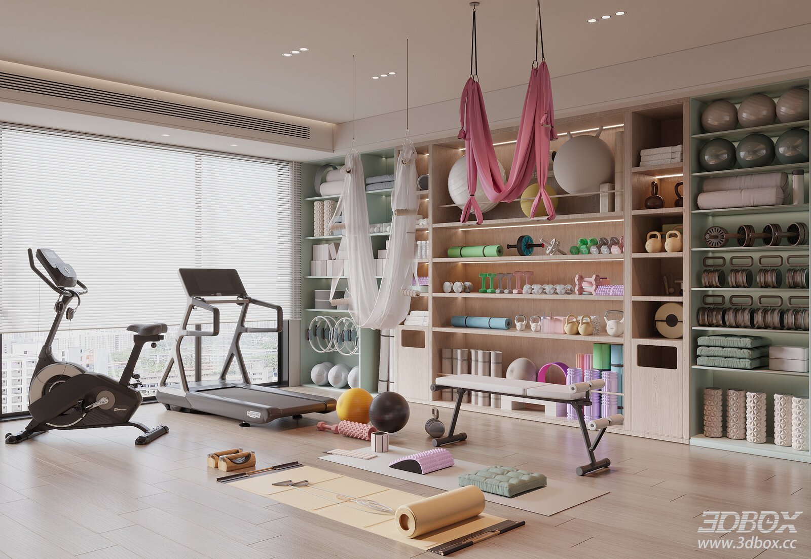 Modern Home Gym with Fitness Equipment