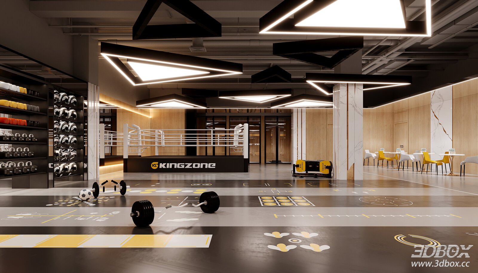 Modern Gym and Entertainment Space
