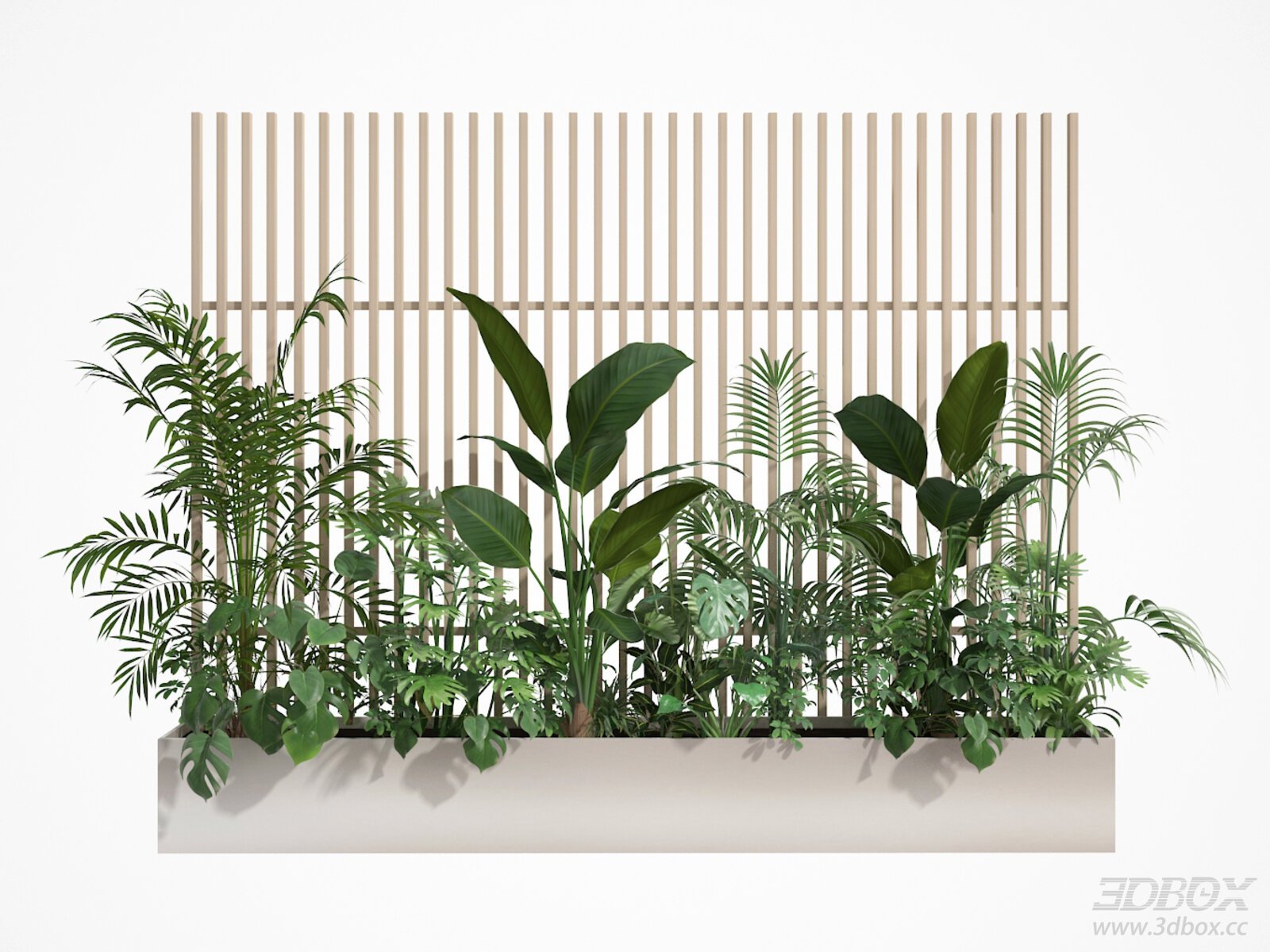 Modern Potted Plant Arrangement with Fence
