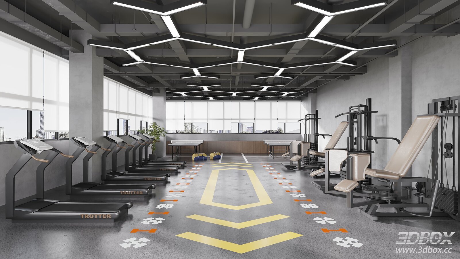 Industrial - style Gym Interior
