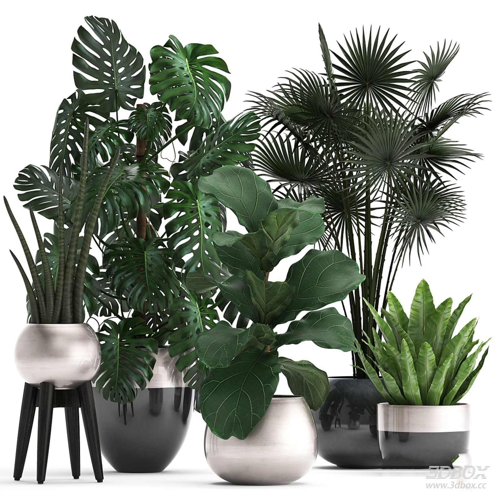 Indoor Potted Plants Set