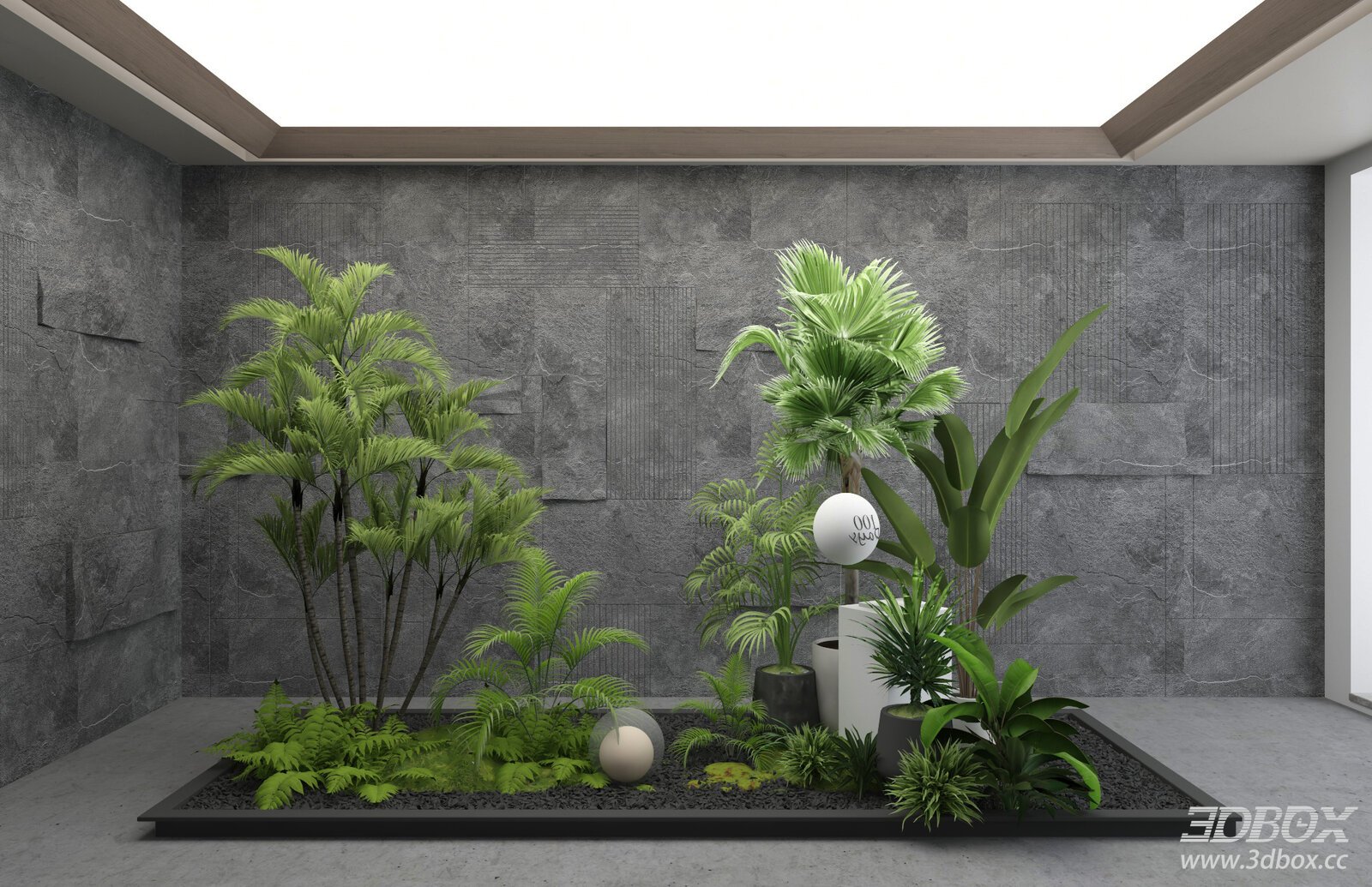 Modern Indoor Plant Arrangement