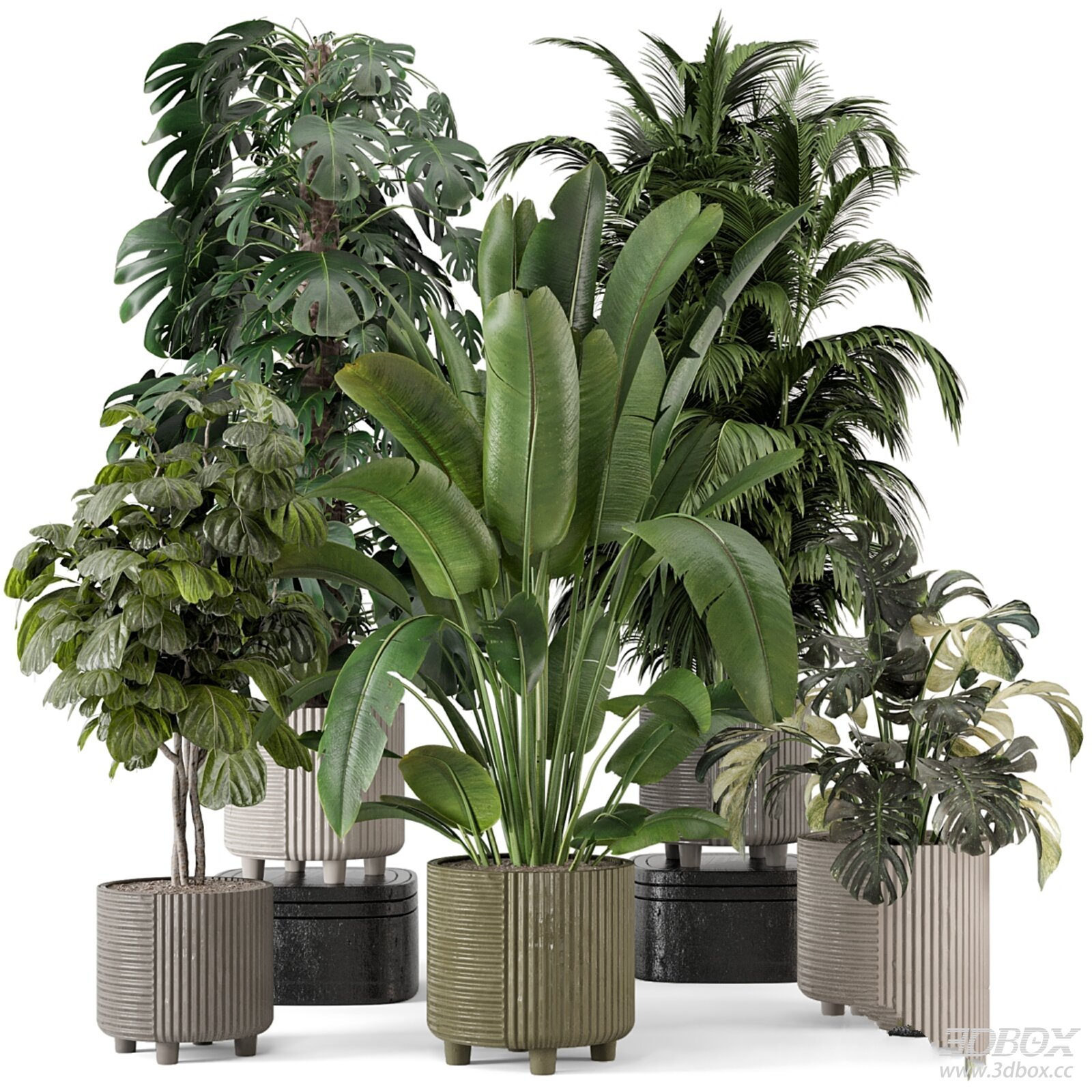 Indoor Potted Plants Set