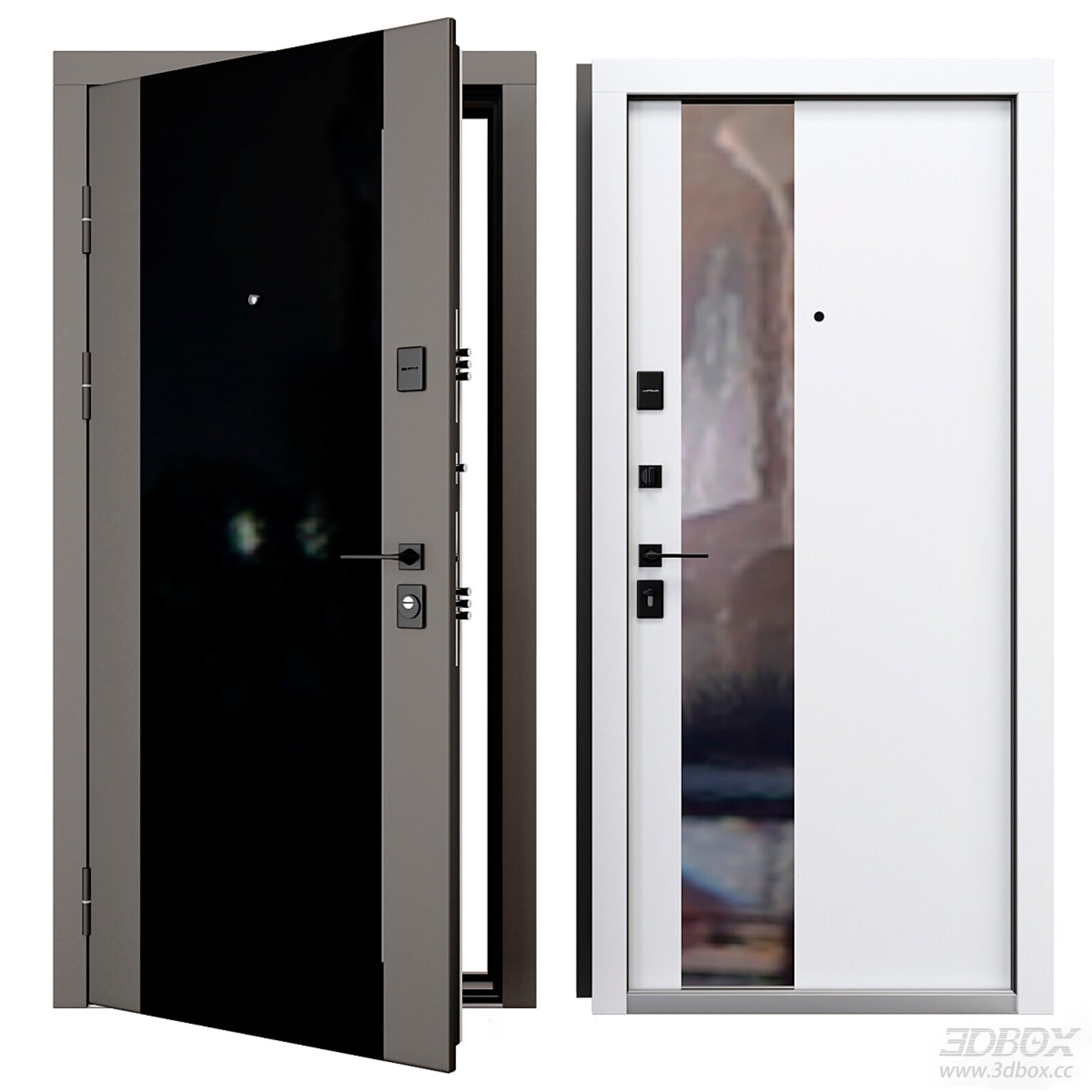 Modern Security Door