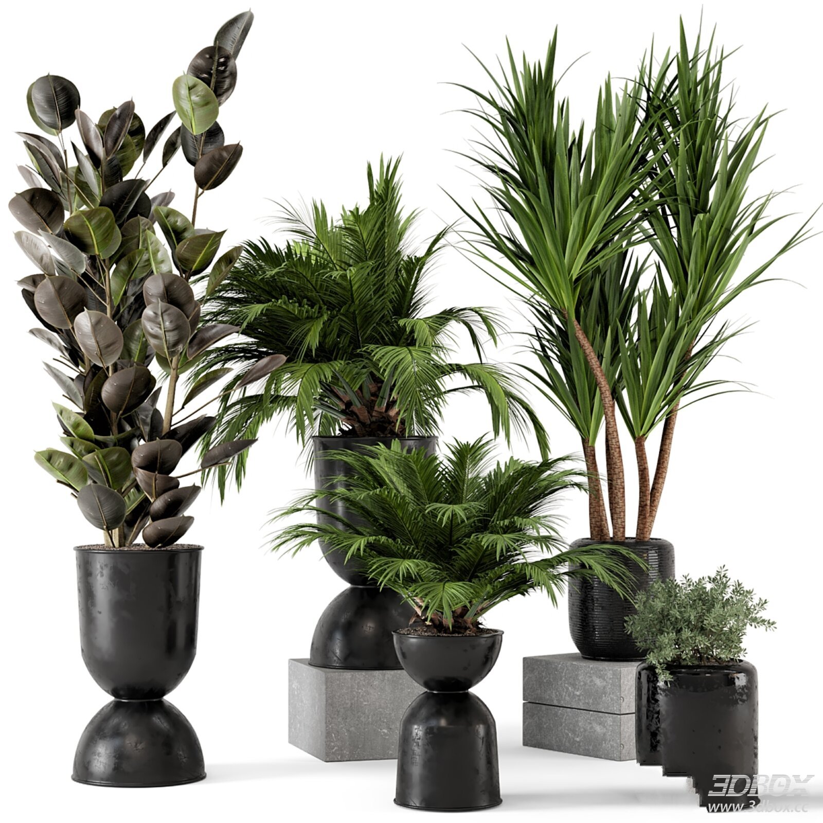 Indoor Potted Plant Set