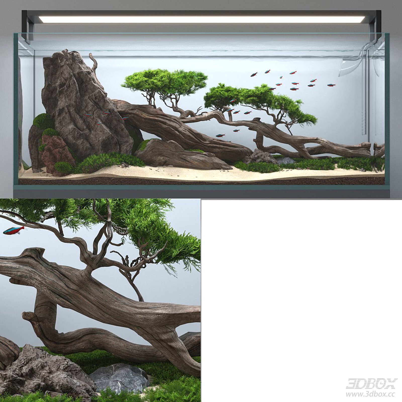 Natural - themed Aquascape Decoration