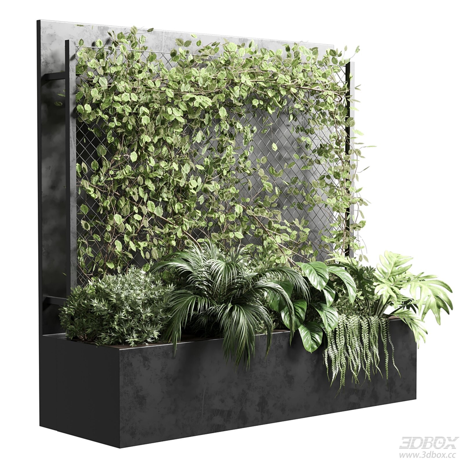 Modern Fitowall with Ivy and Plants