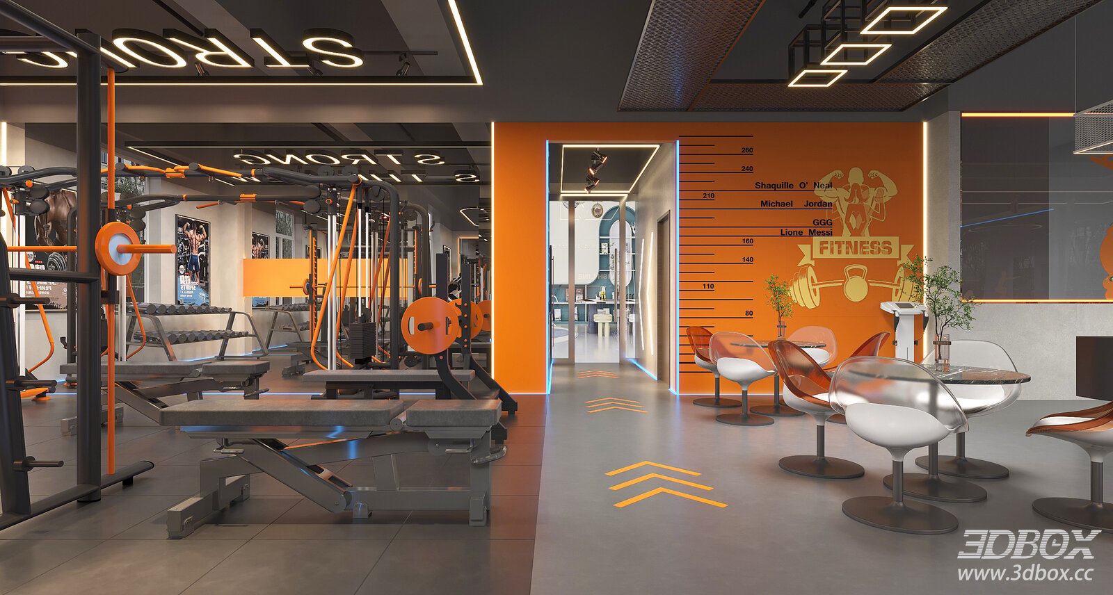 Modern Gym Interior with Fitness Equipment