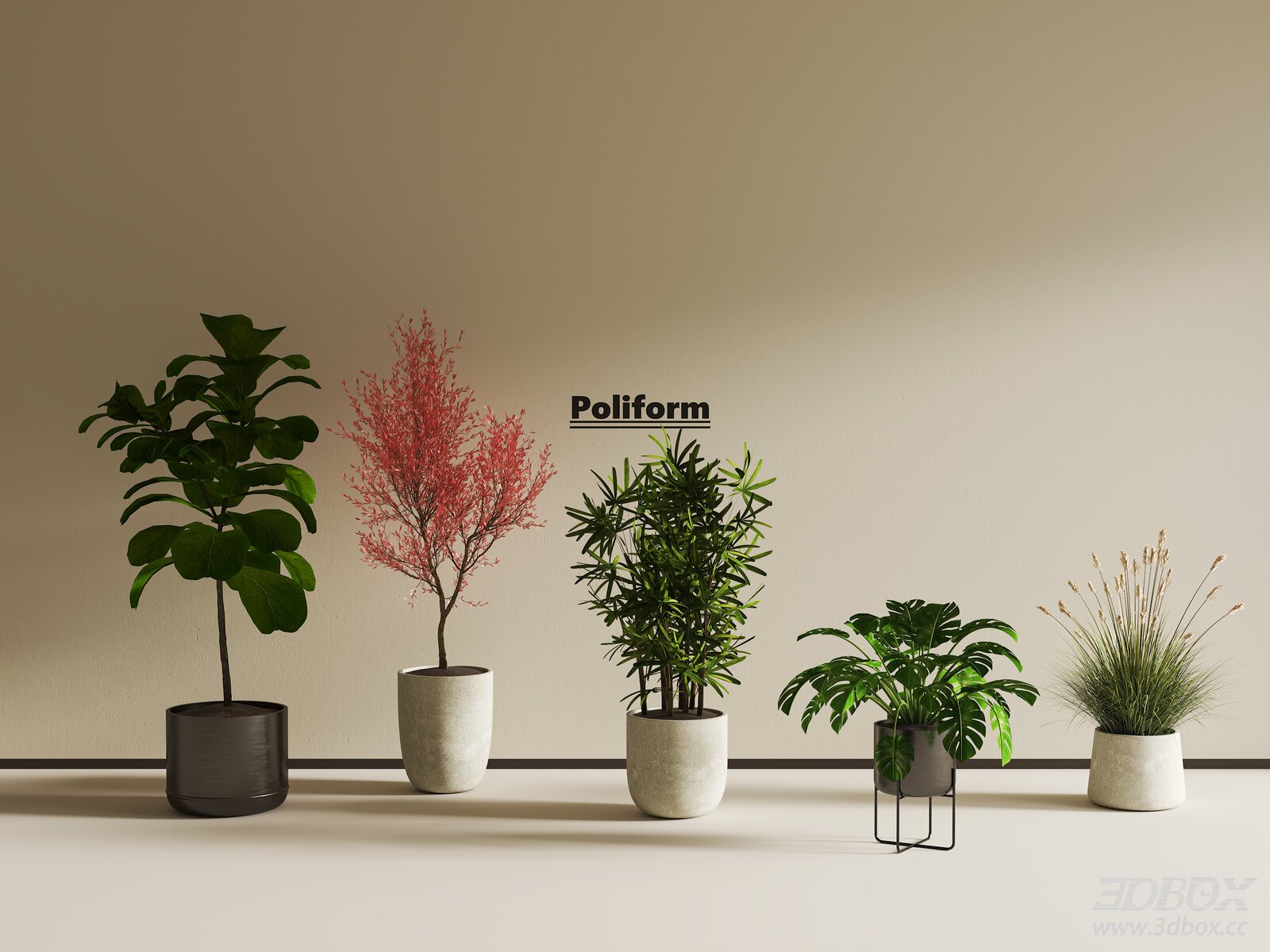 Vintage Potted Indoor Plants