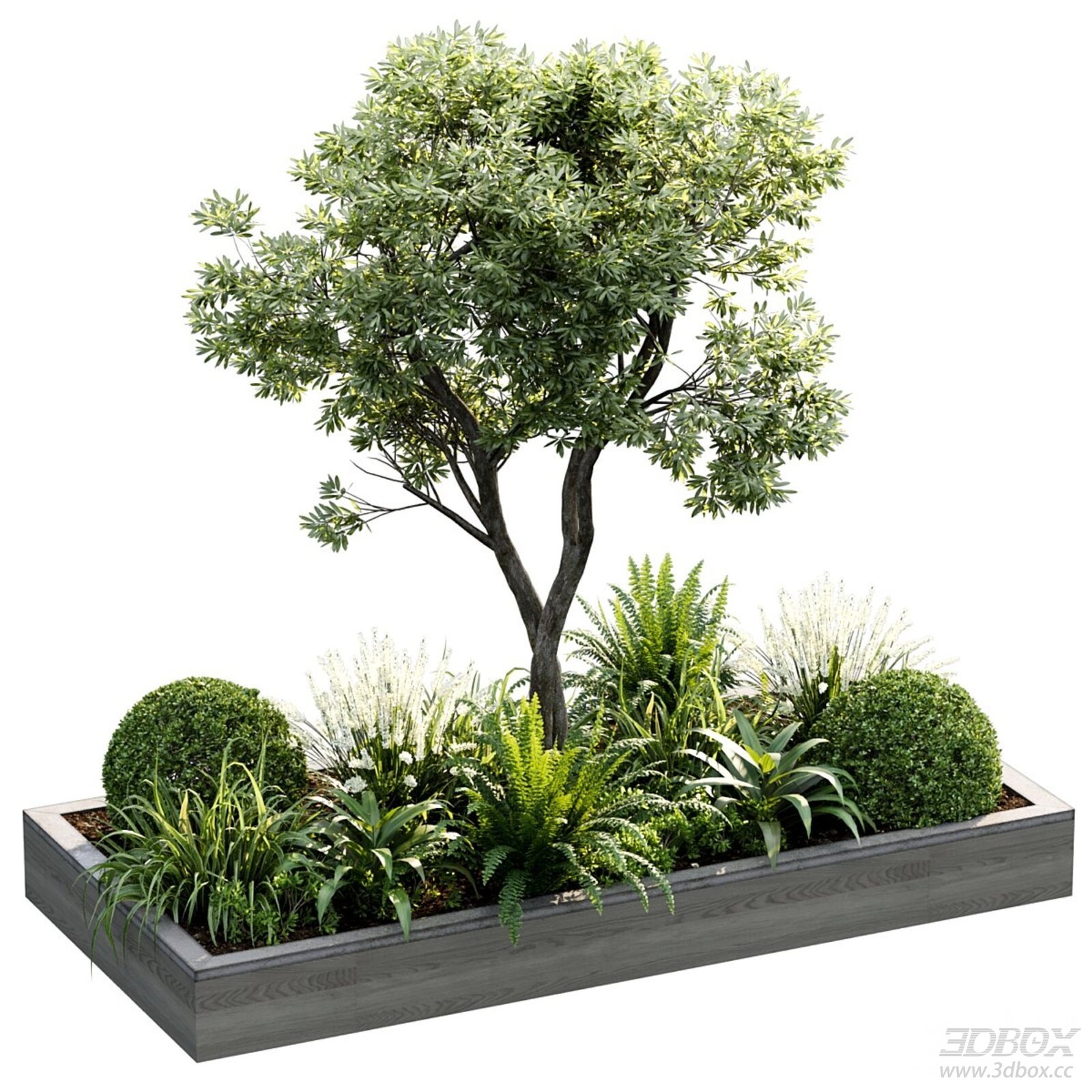 Modern Outdoor Planter with Tree and Greenery Arrangement