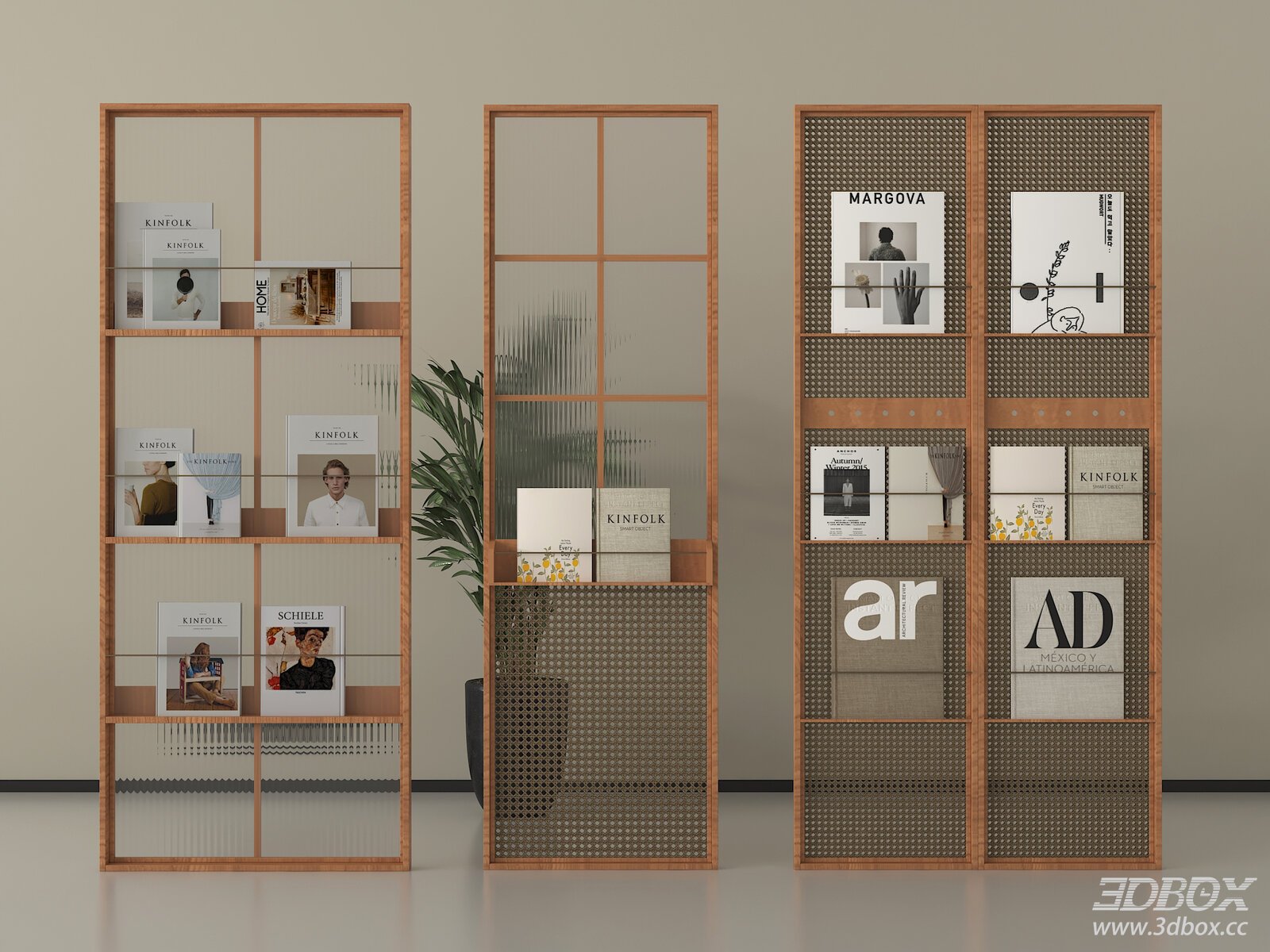Mid-Century Wooden Glass Partition Magazine Display Rack