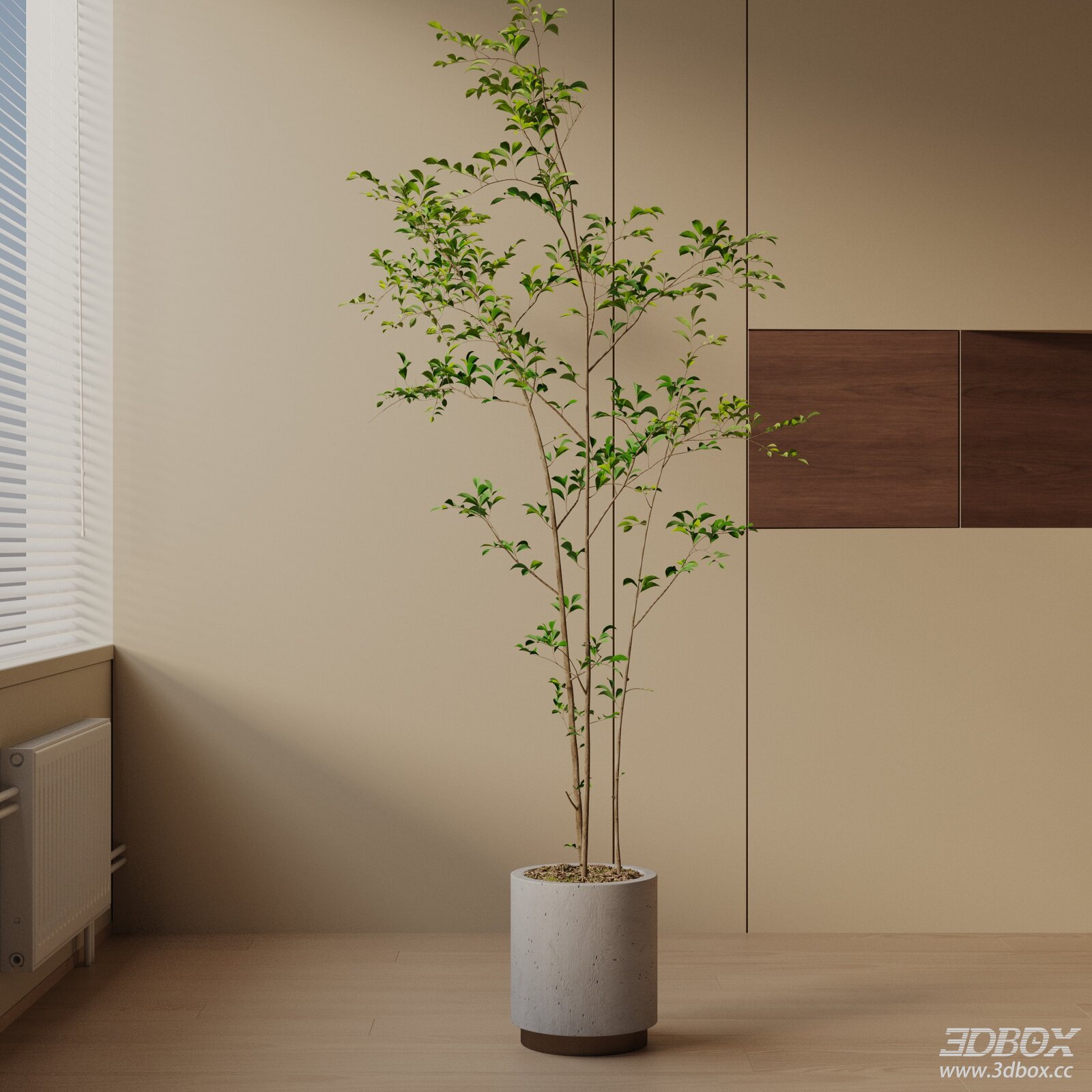 Modern Indoor Potted Green Tree Plant