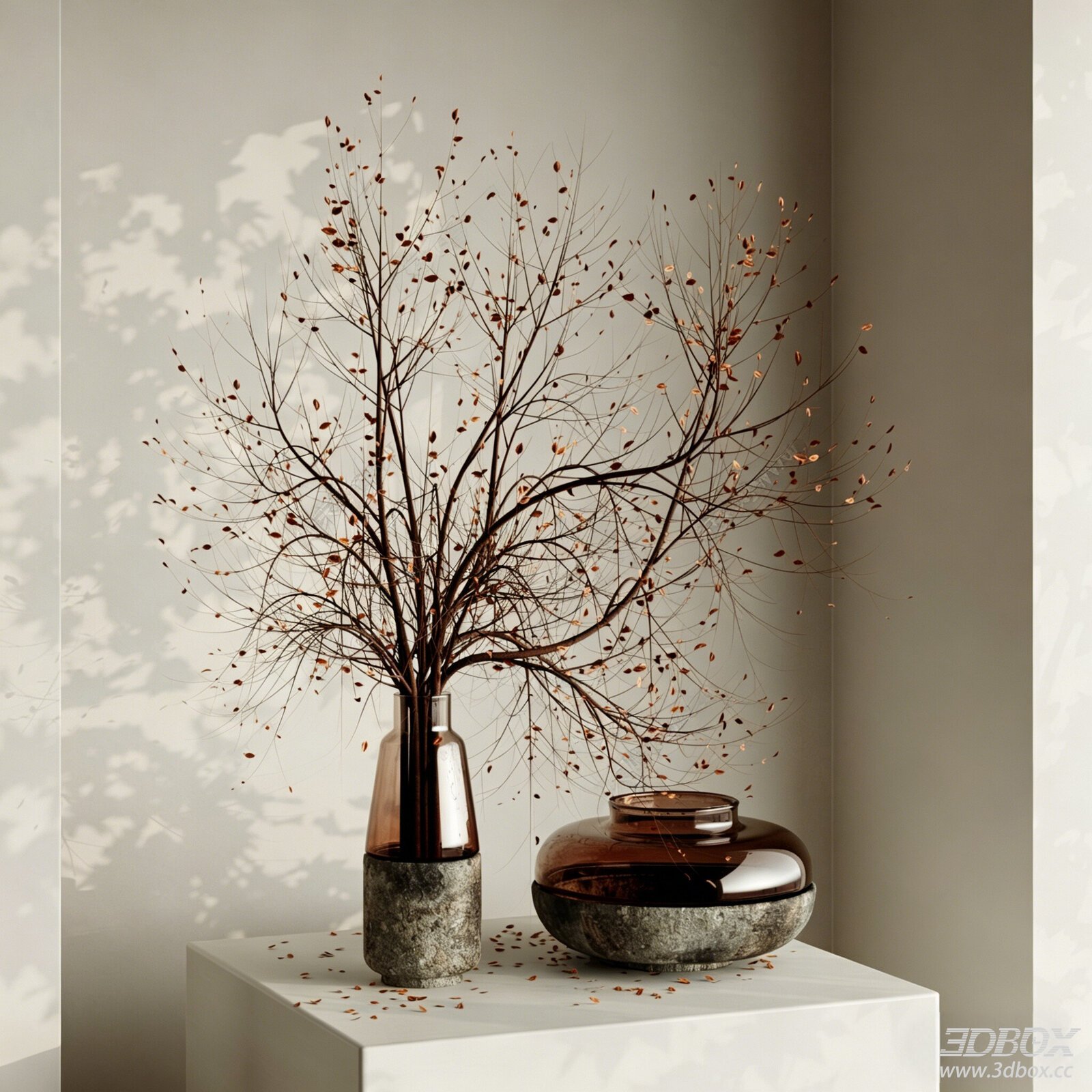 Wabi Sabi Dried Branches Floral Decor Set with Glass Vases
