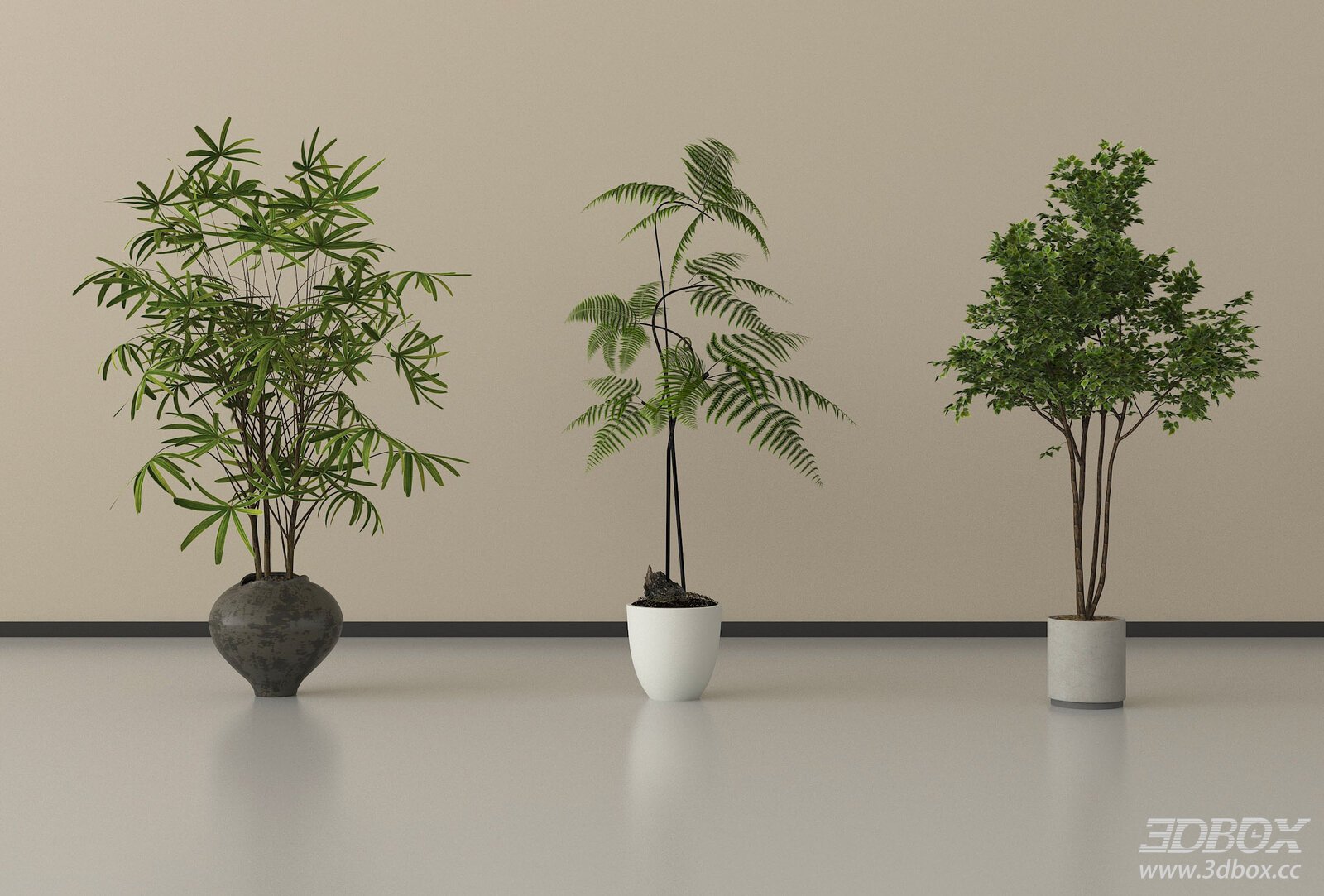 Modern Potted Indoor Plants Set
