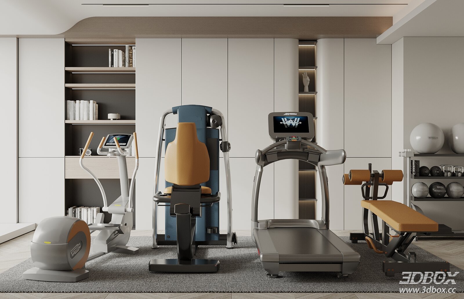 Modern Home Gym Interior with Full Fitness Equipment Set