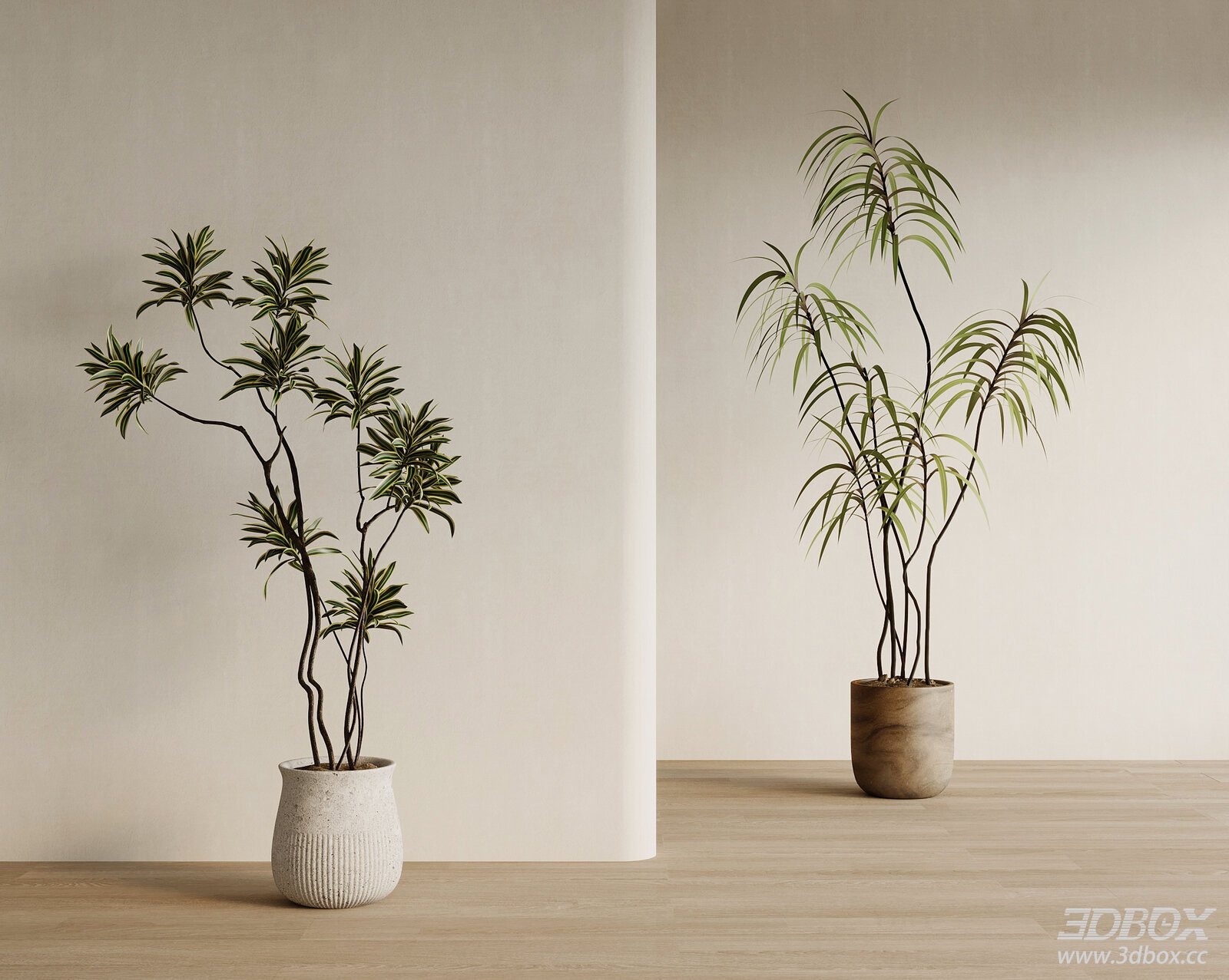 Vintage Style Potted Indoor Plants Set