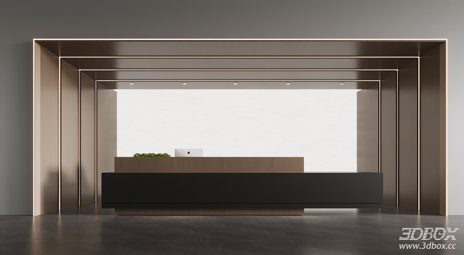 Modern Minimalist Wood Reception Desk with LED Frame