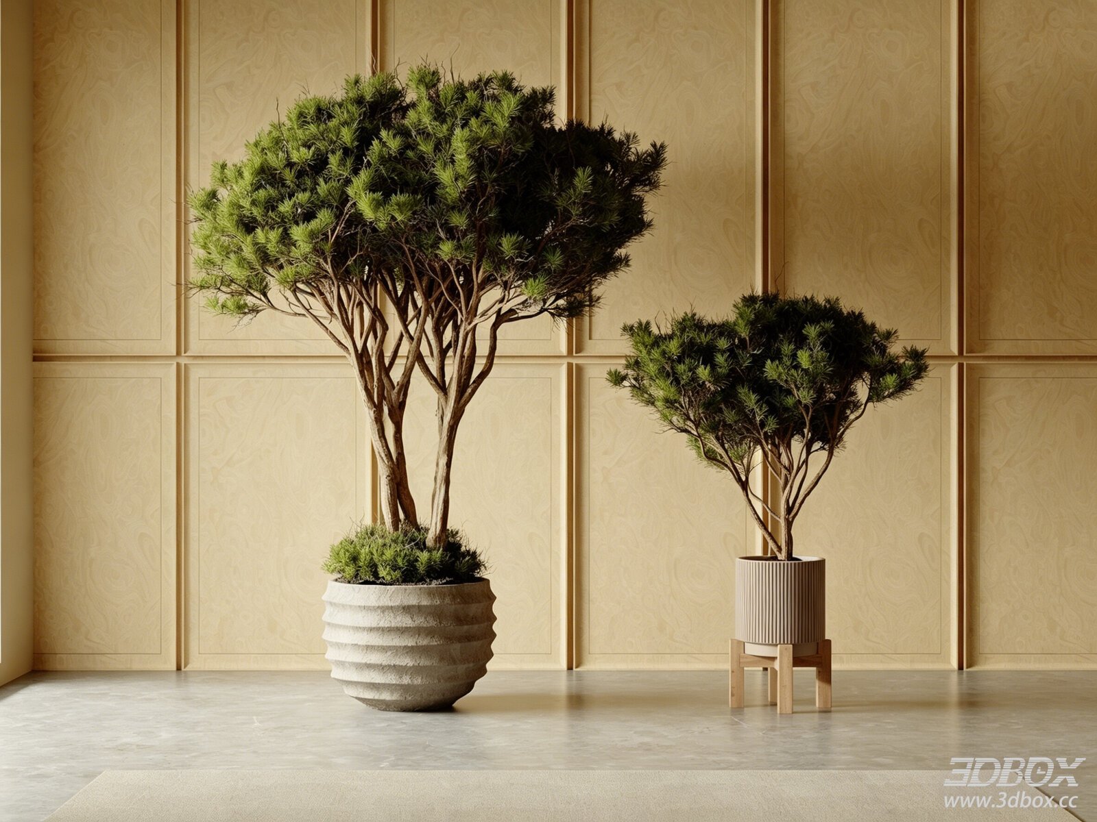 Japanese Style Indoor Potted Bonsai Pine Plant Set