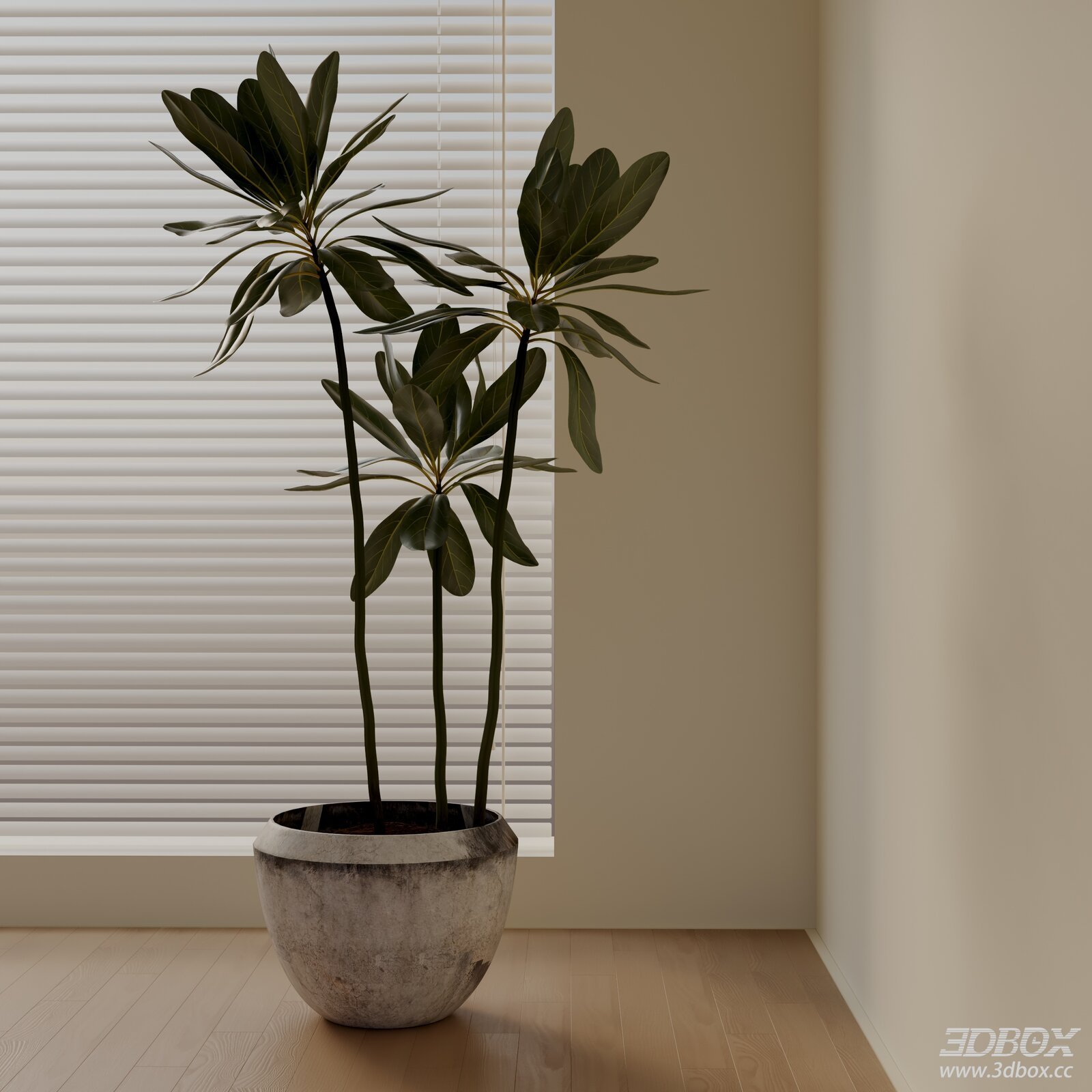 Modern Indoor Potted Foliage Plant with Concrete Planter