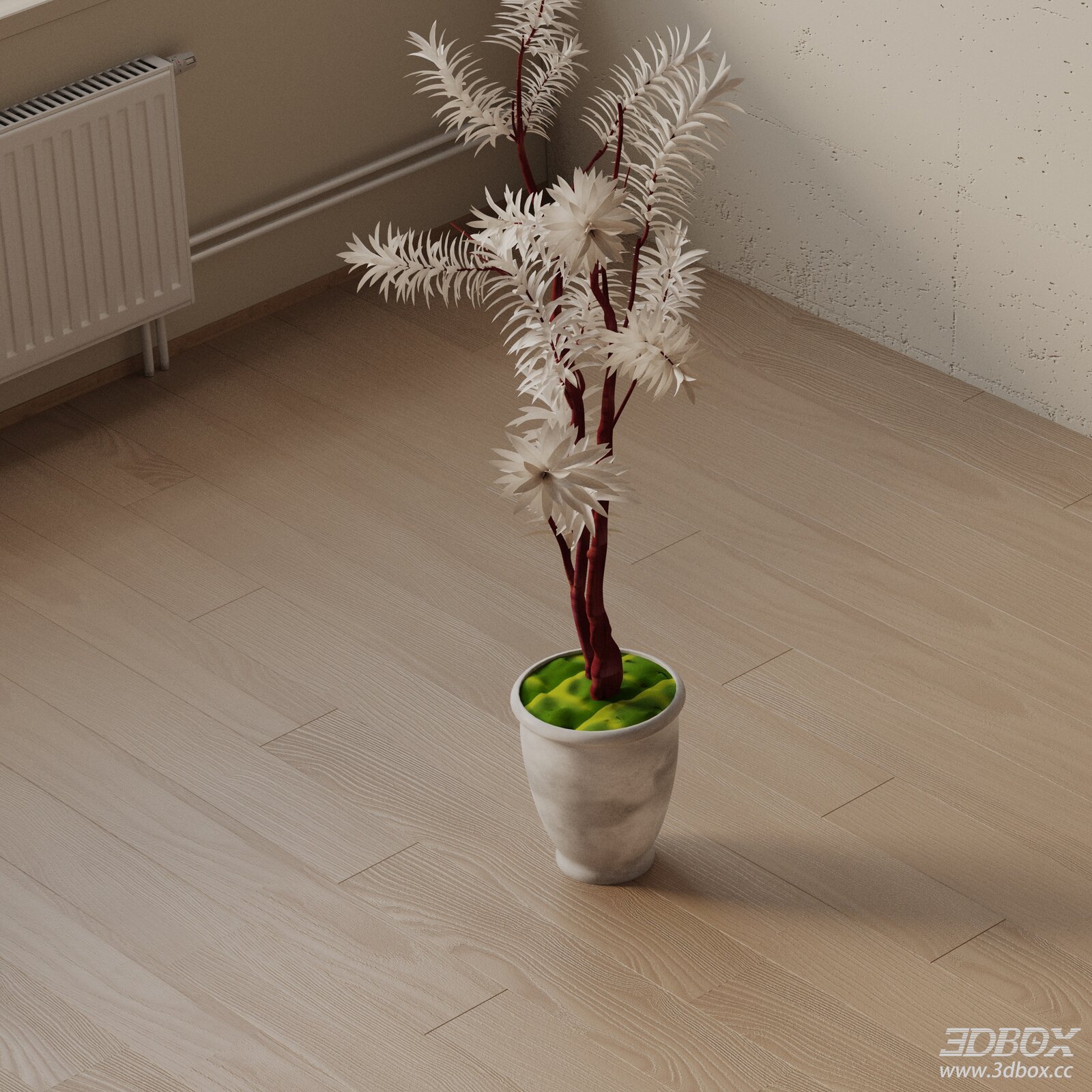 Modern Indoor Potted Ornamental Plant